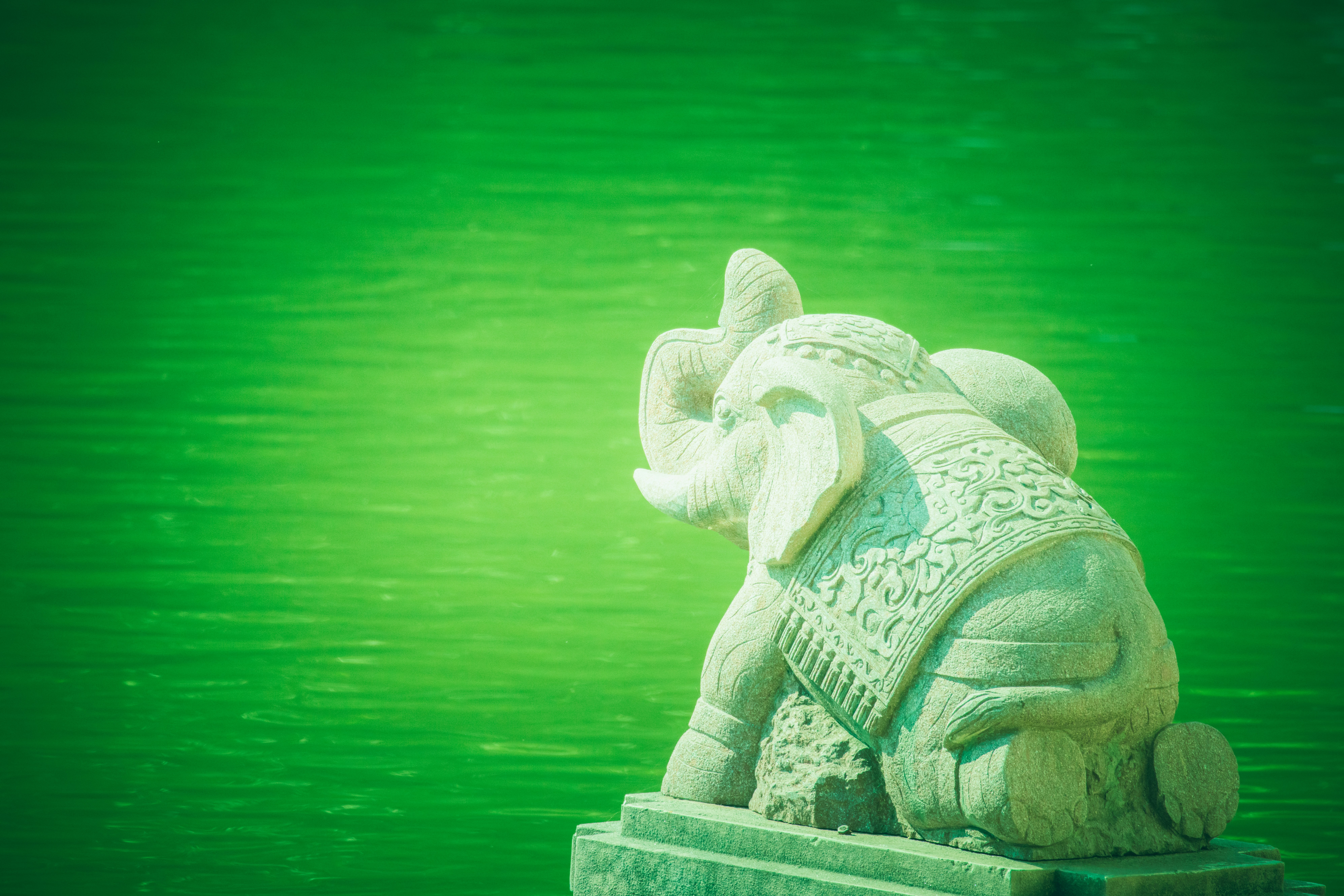 Photo by arttoinspire