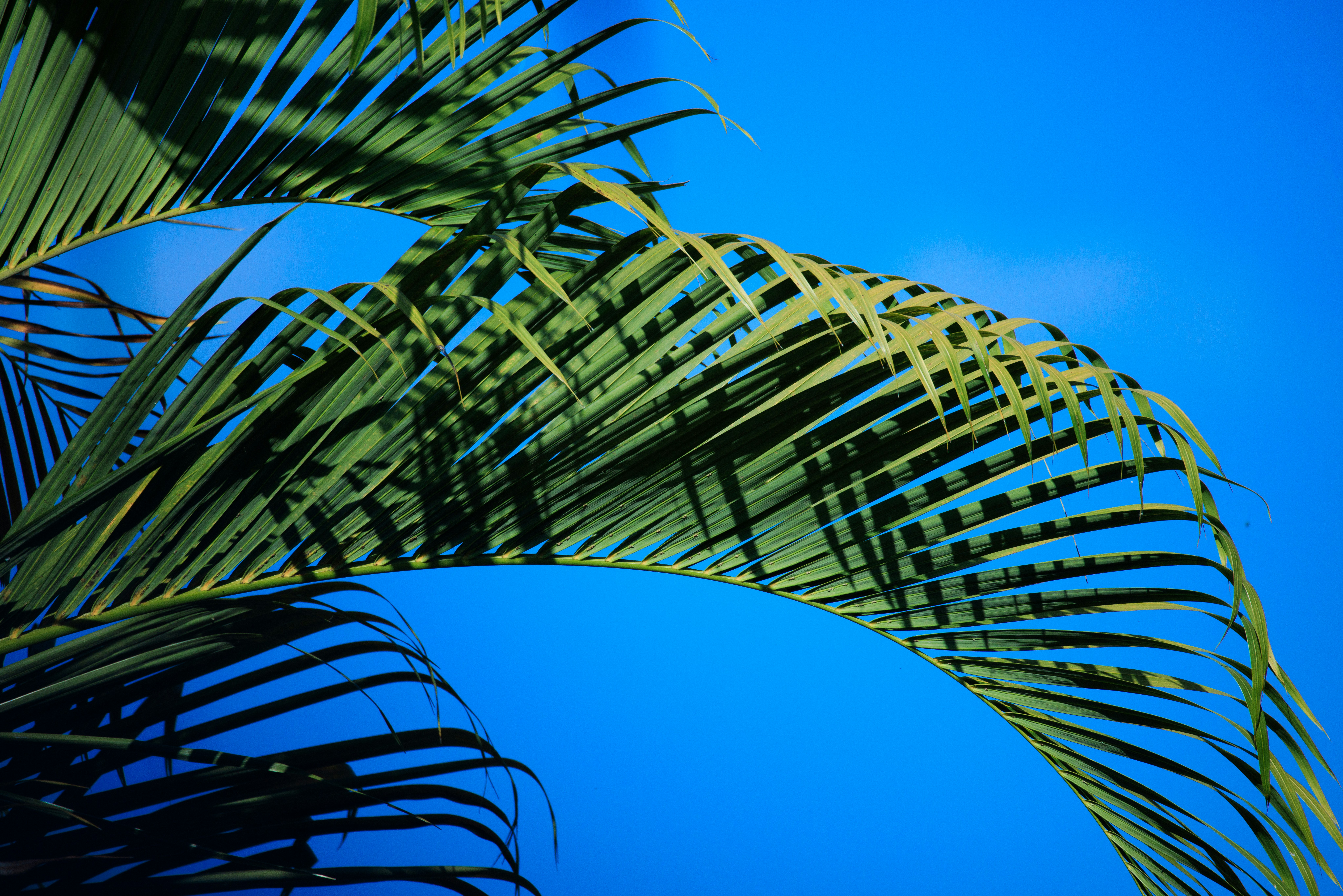 Photo by arttoinspire