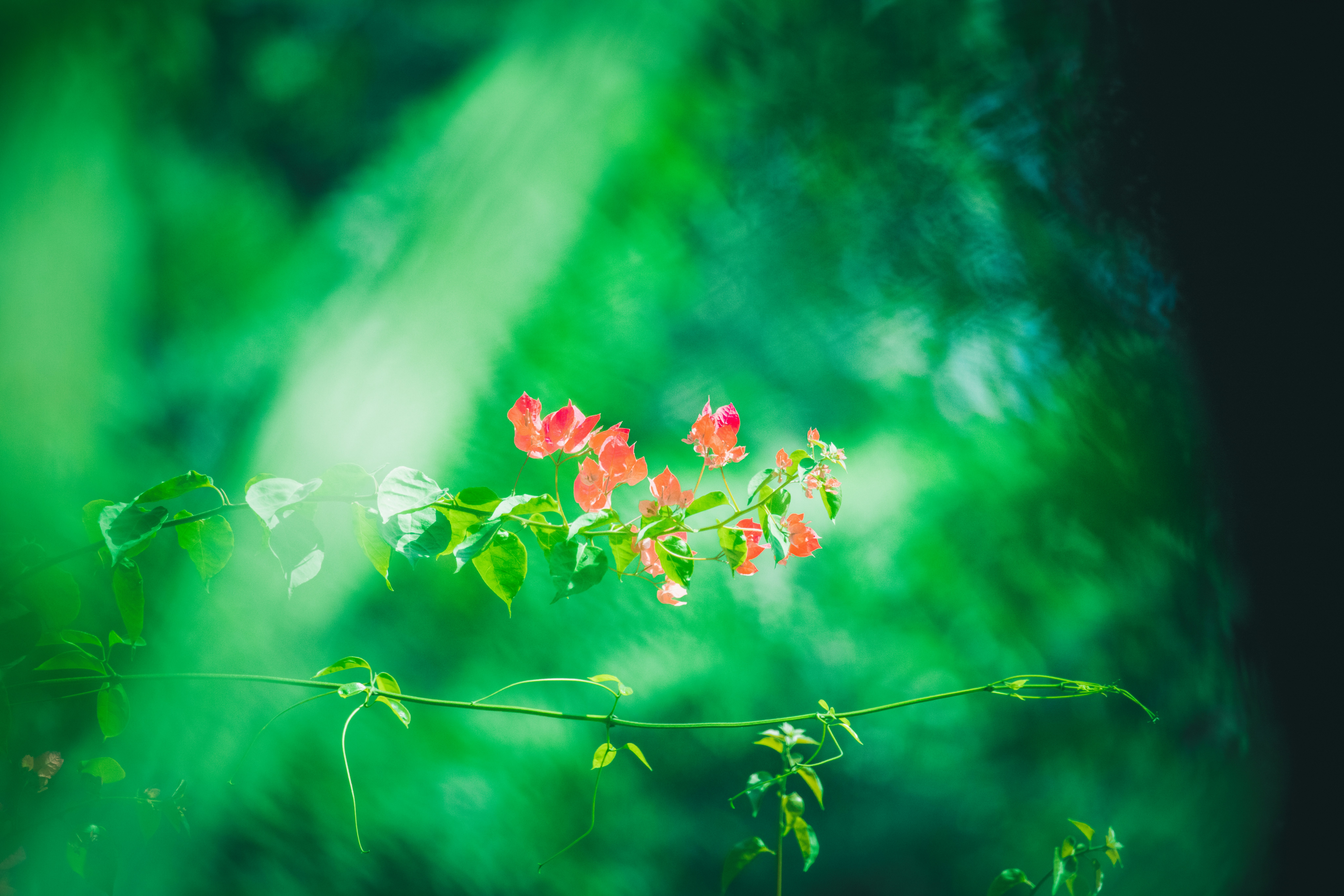 Photo by arttoinspire