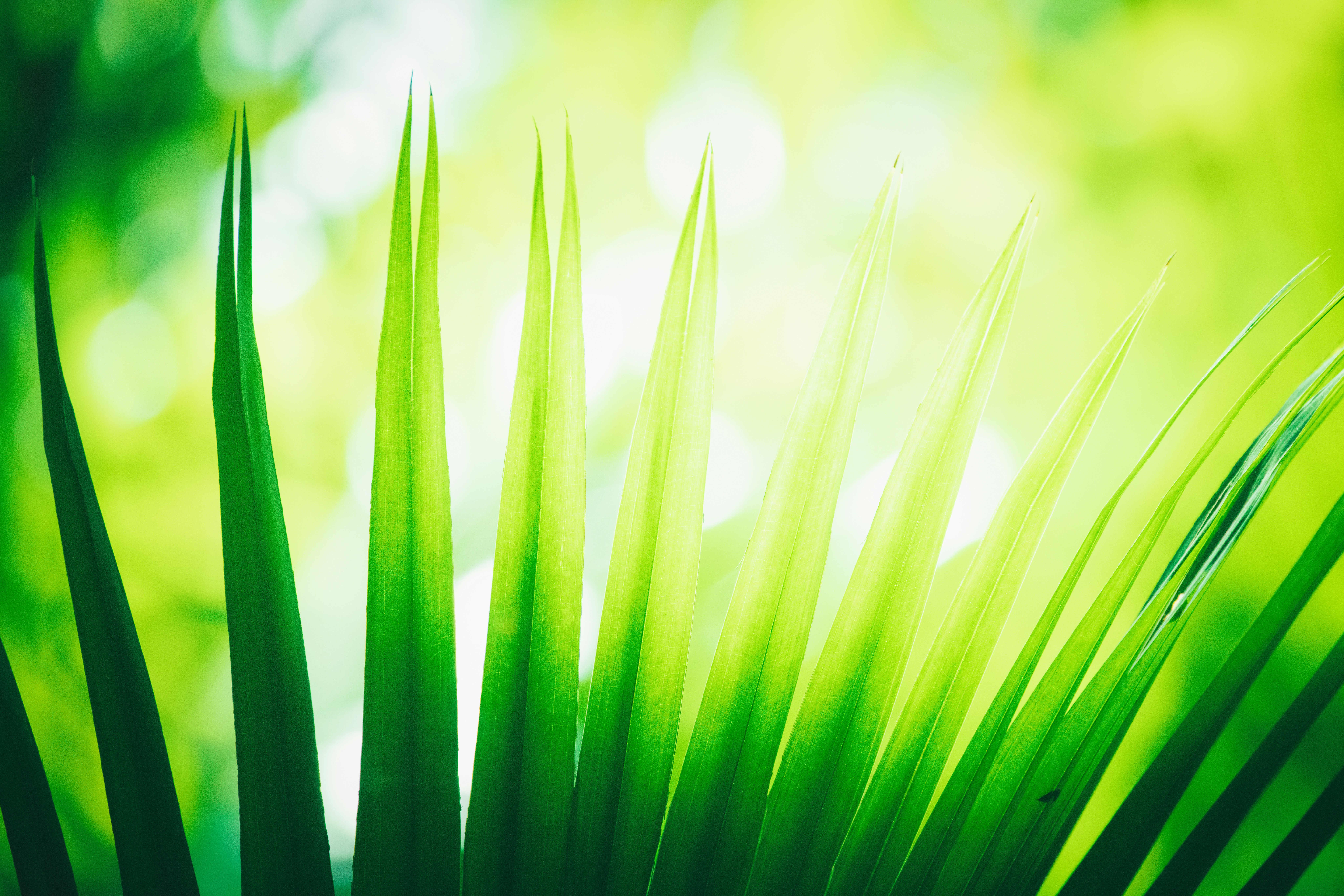 Photo by arttoinspire