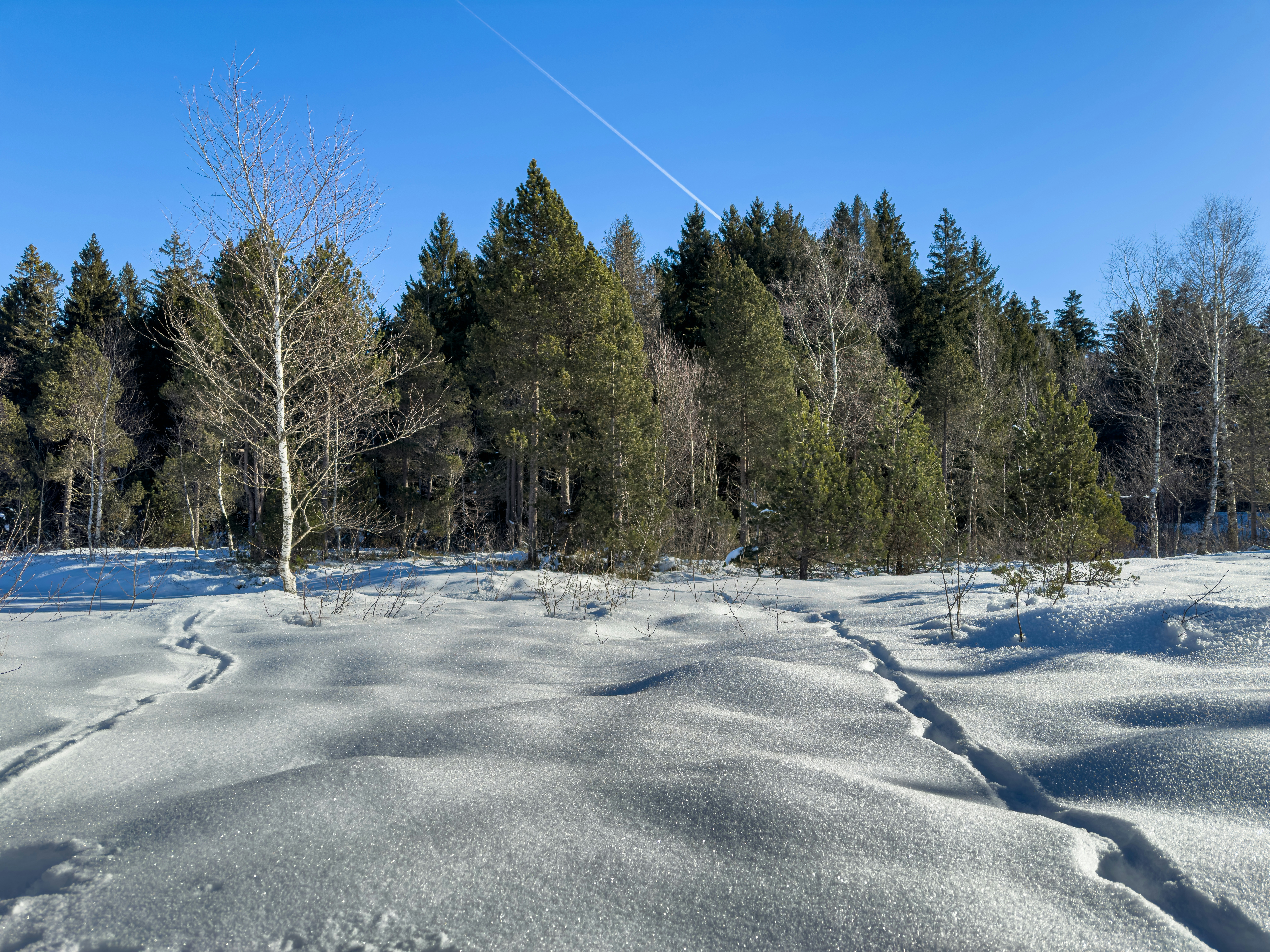 A snow covered field with trees in the background