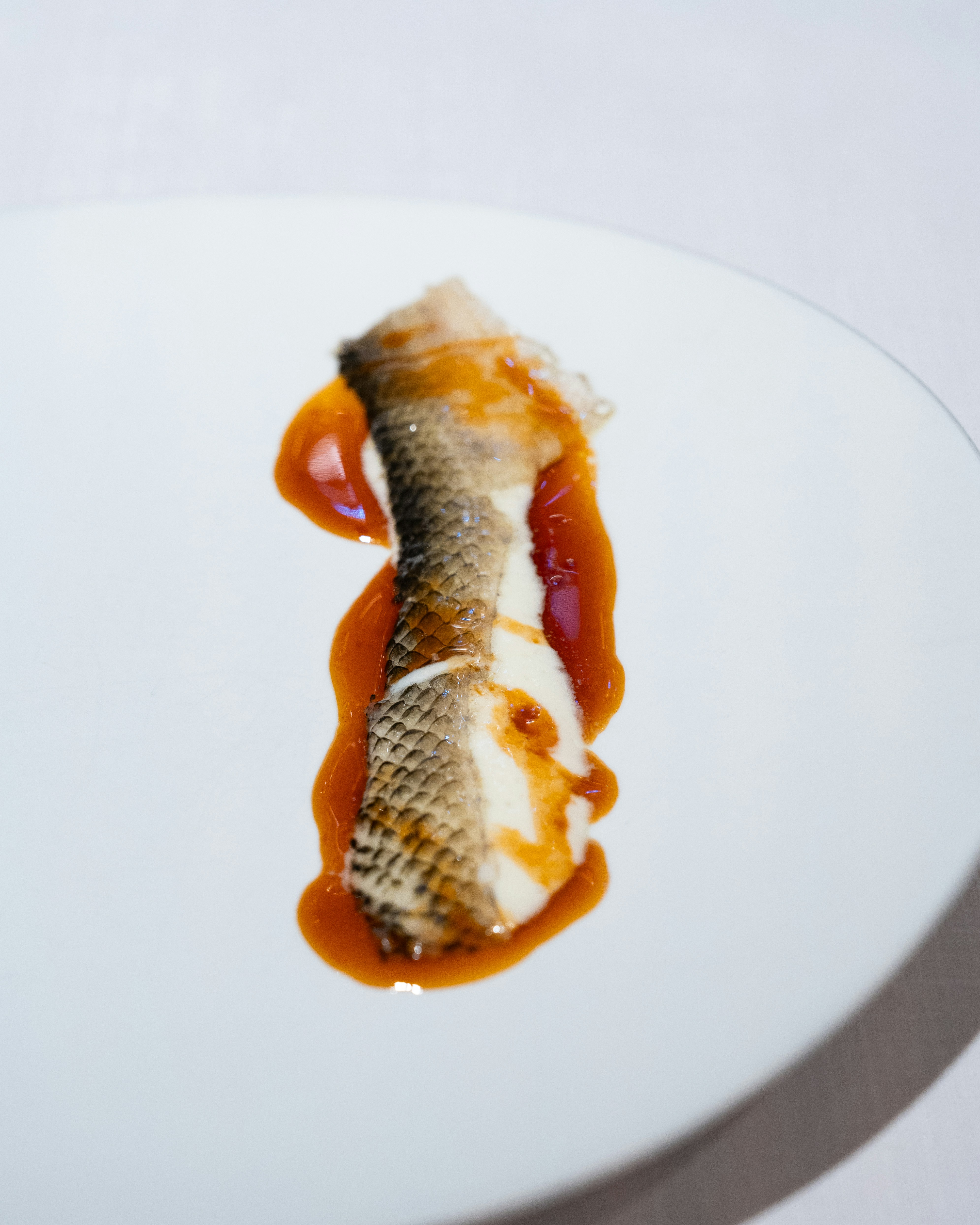 Photo by harrisonchang