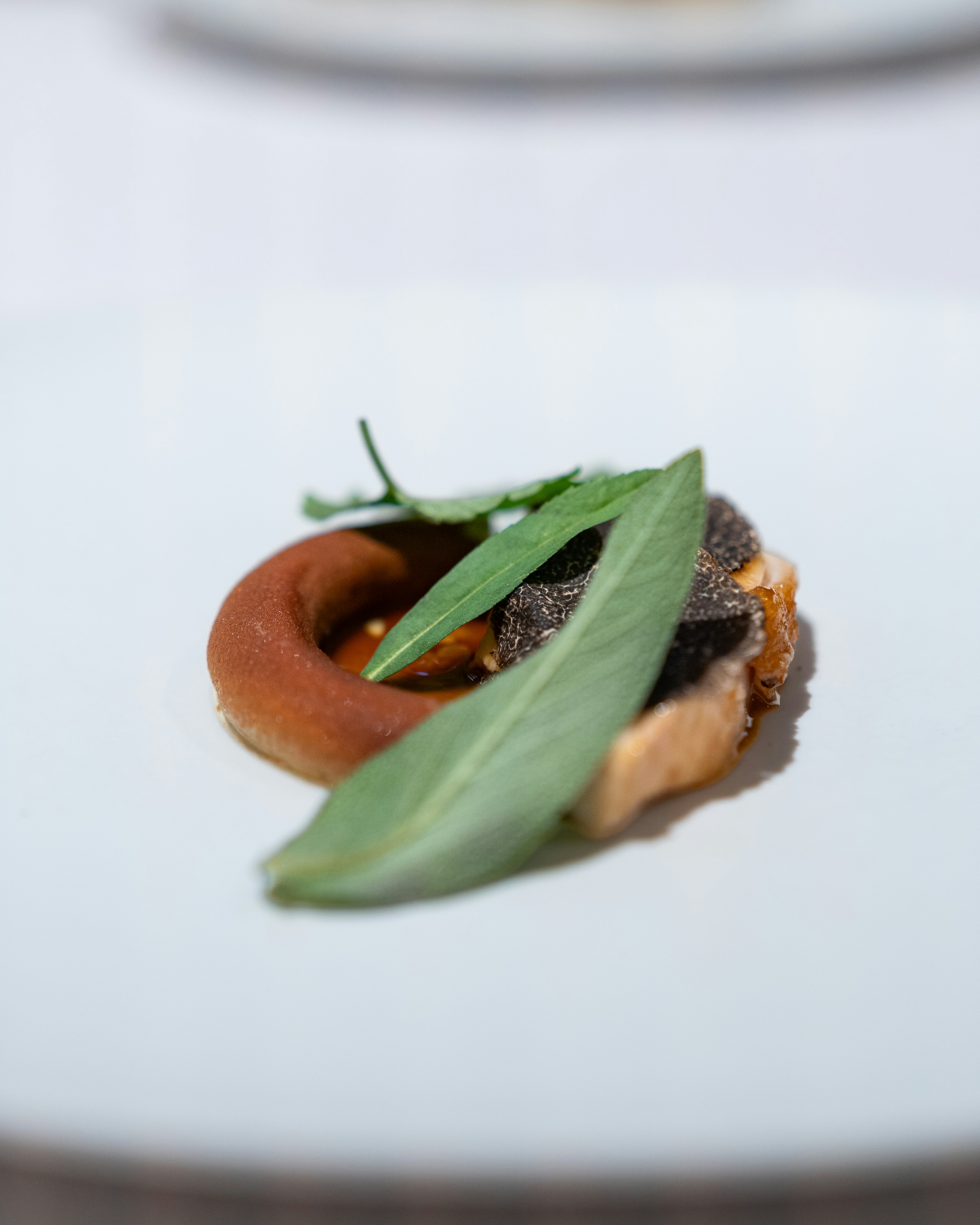 Photo by harrisonchang