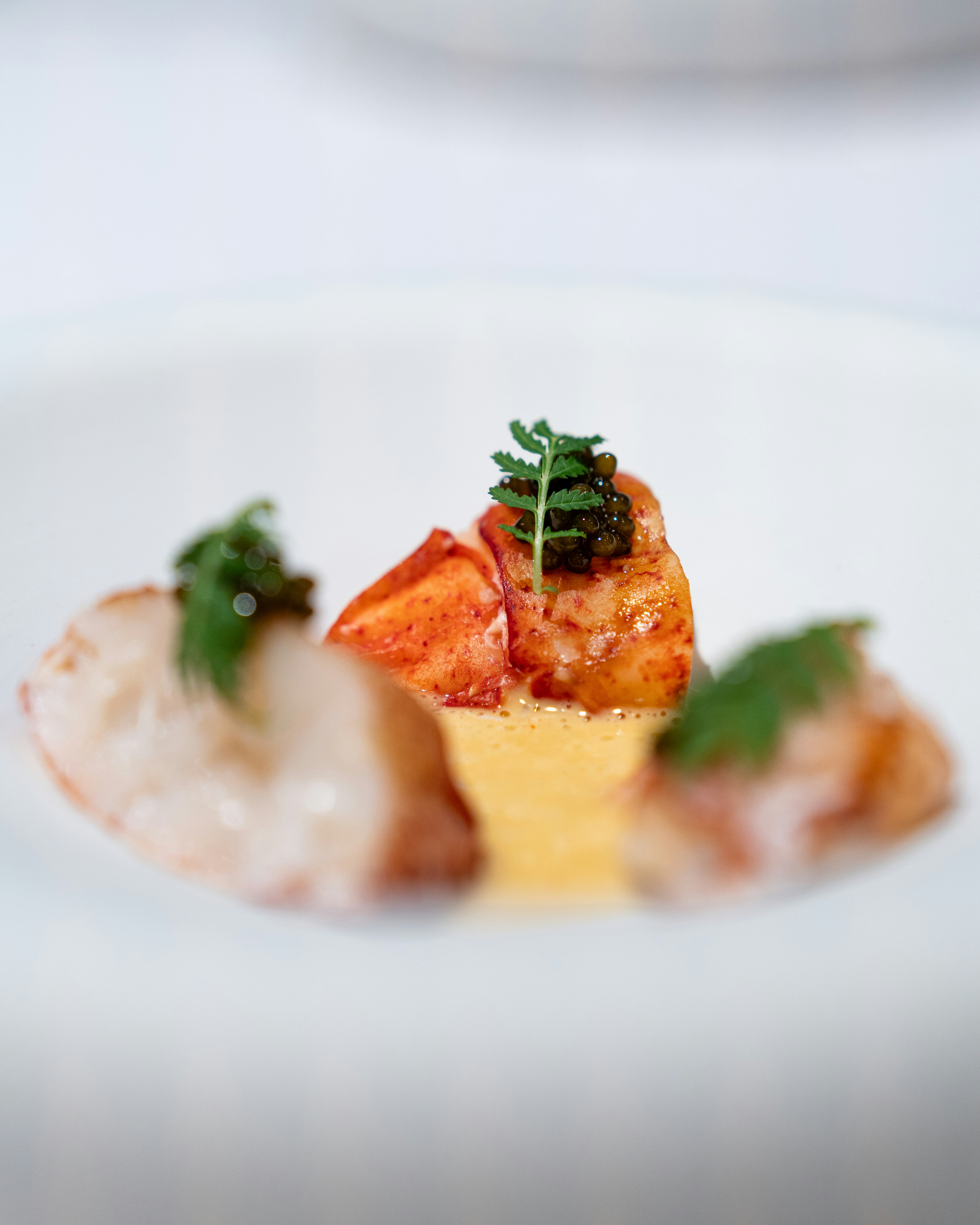 Photo by harrisonchang