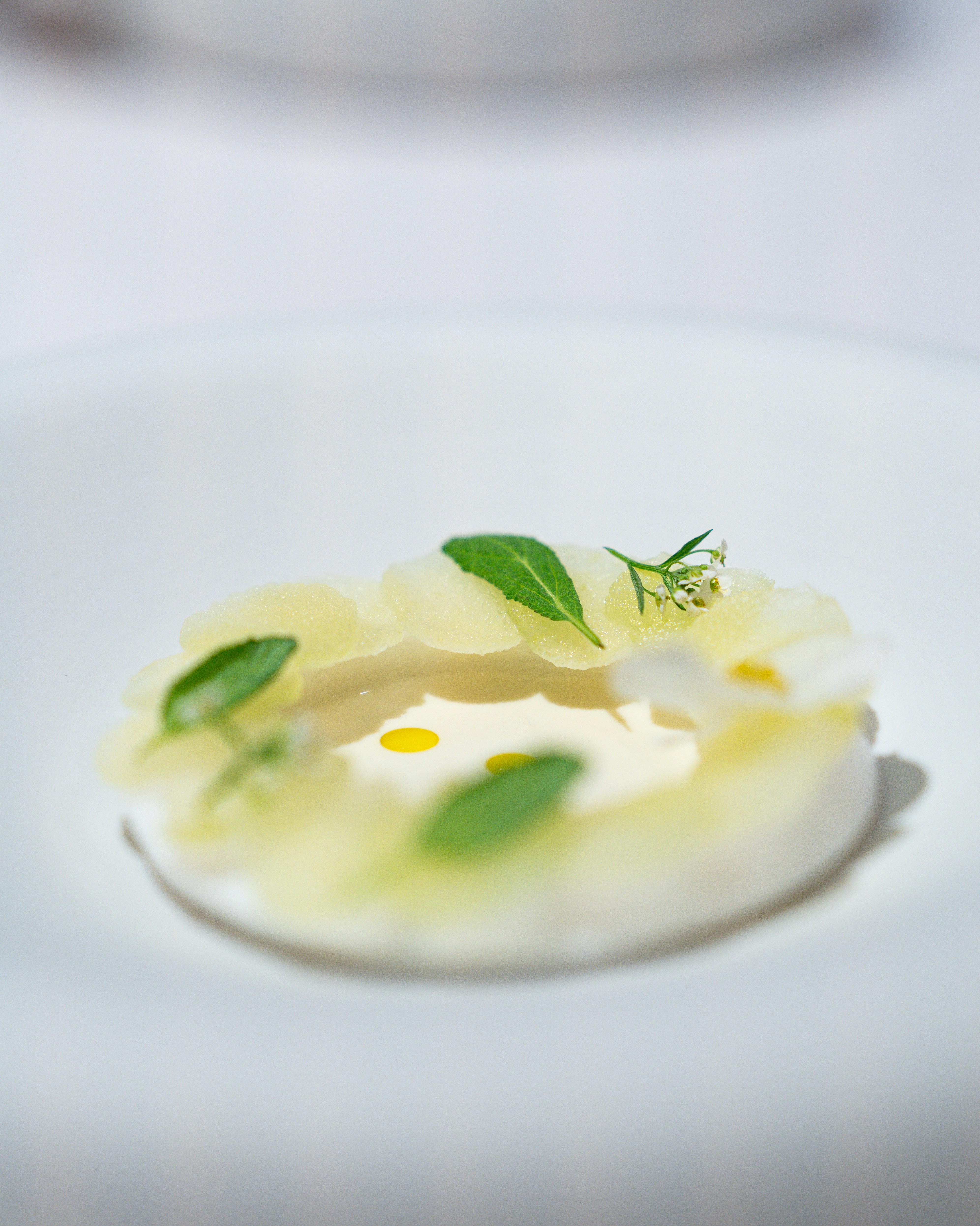 Photo by harrisonchang