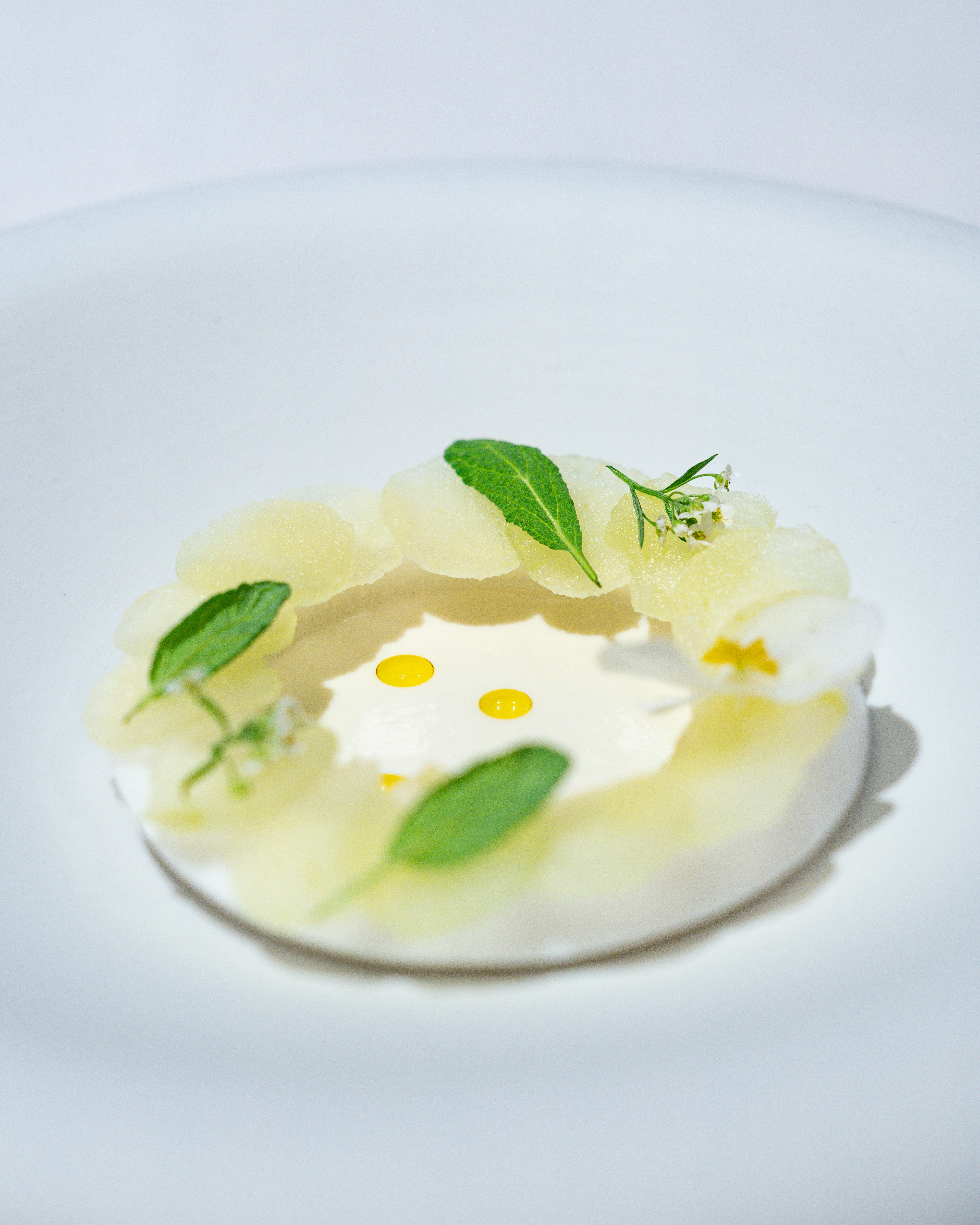 Photo by harrisonchang