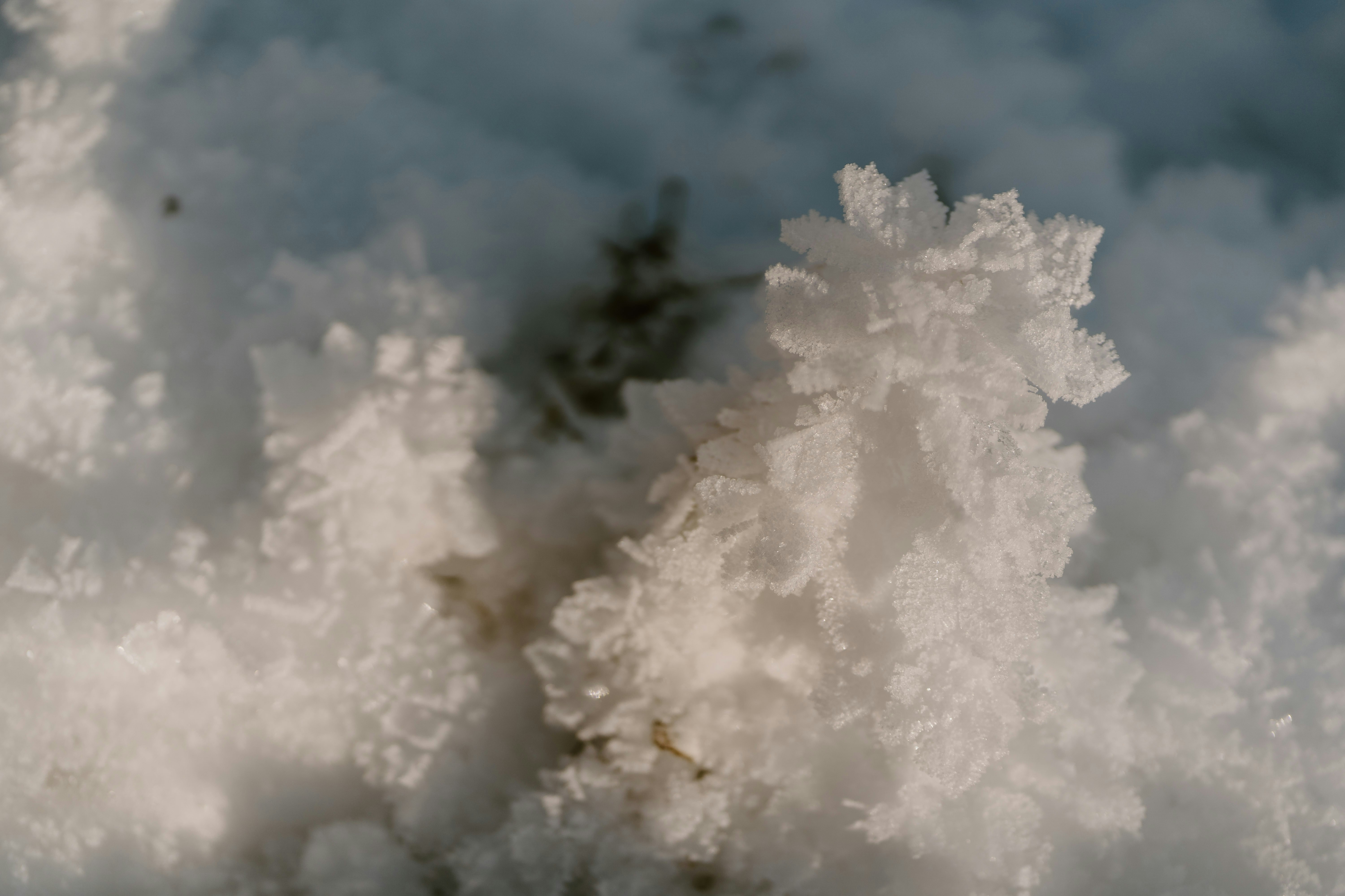 Photo by lenakestler