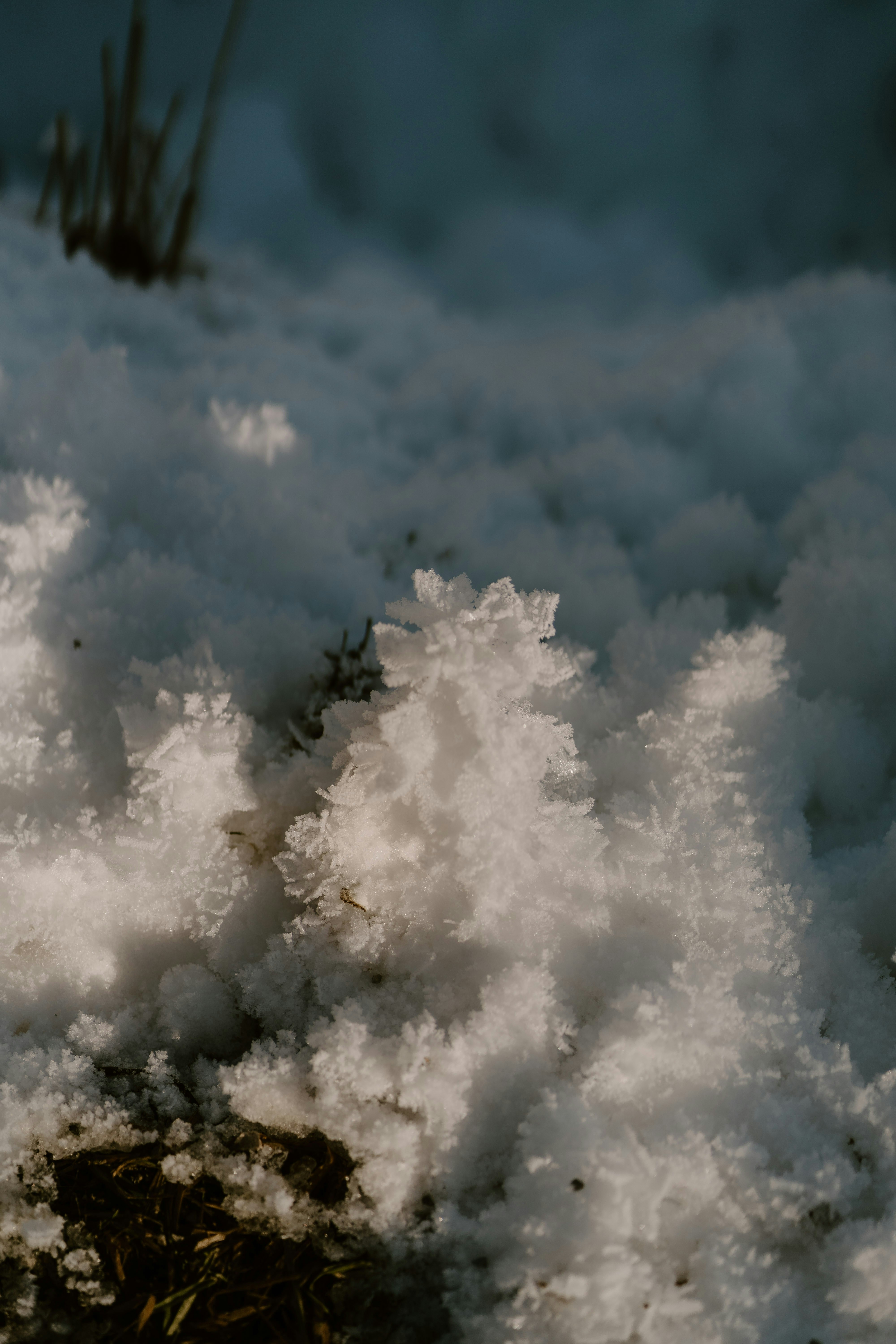 Photo by lenakestler