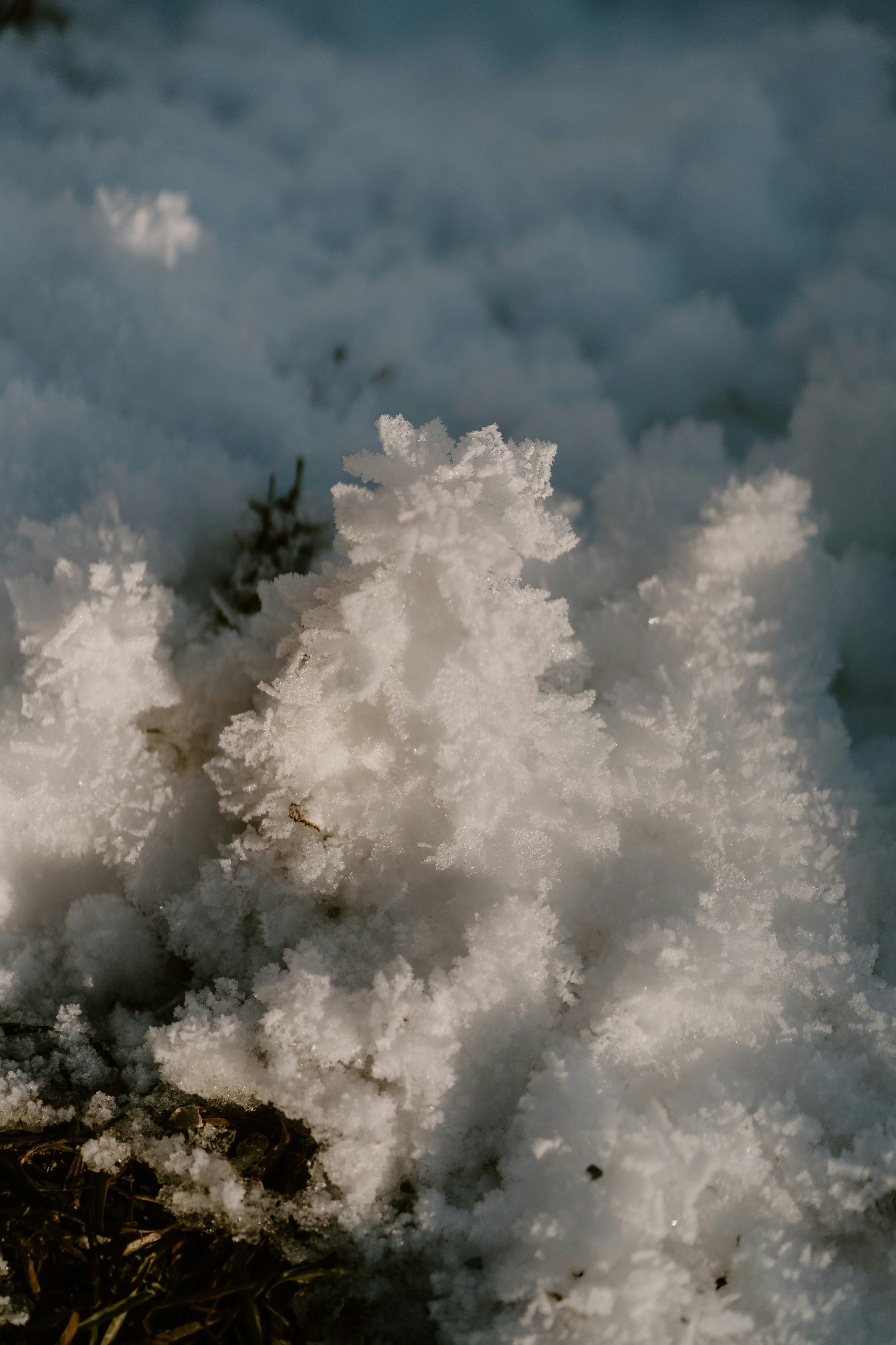 Photo by lenakestler