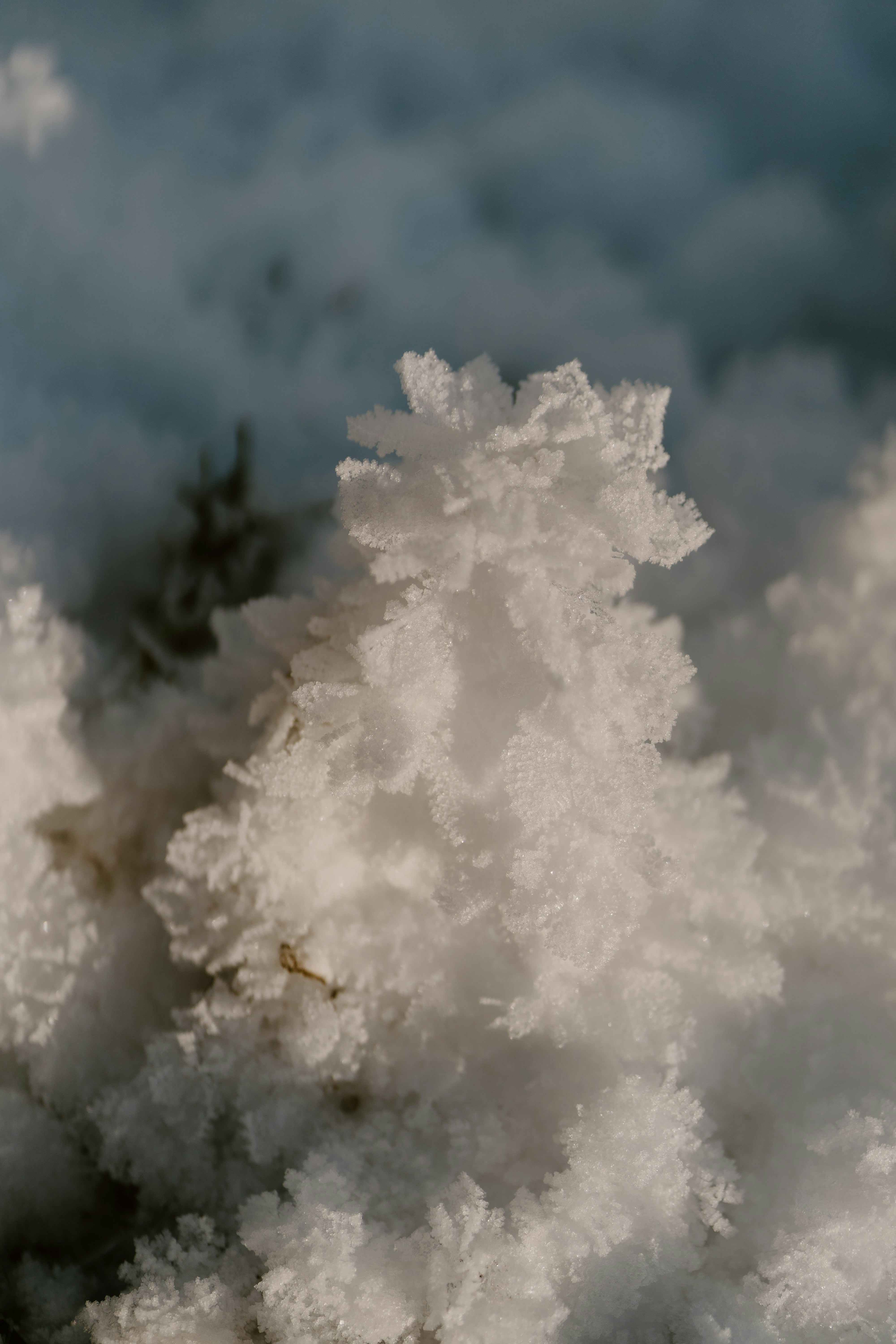 Photo by lenakestler