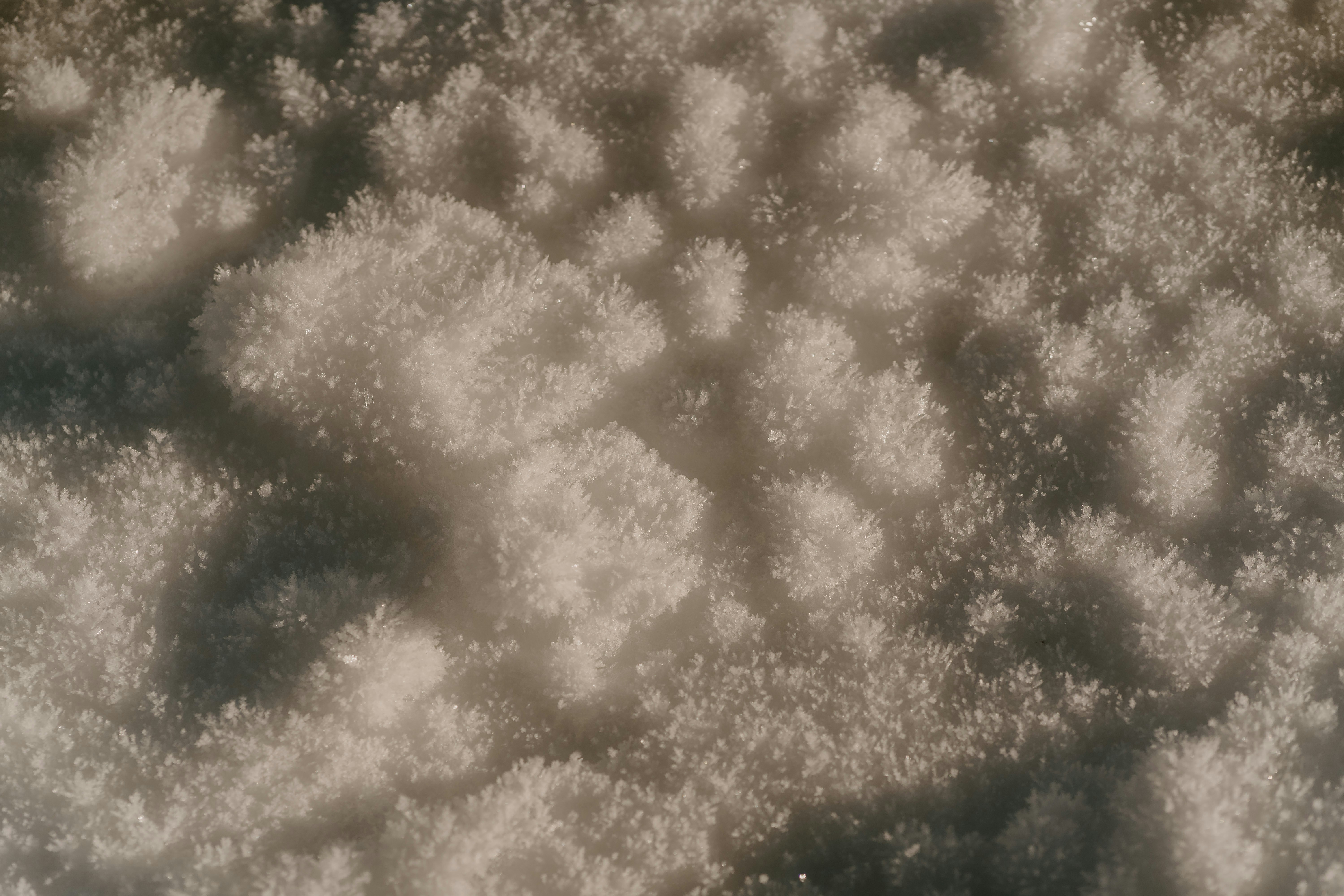 Photo by lenakestler