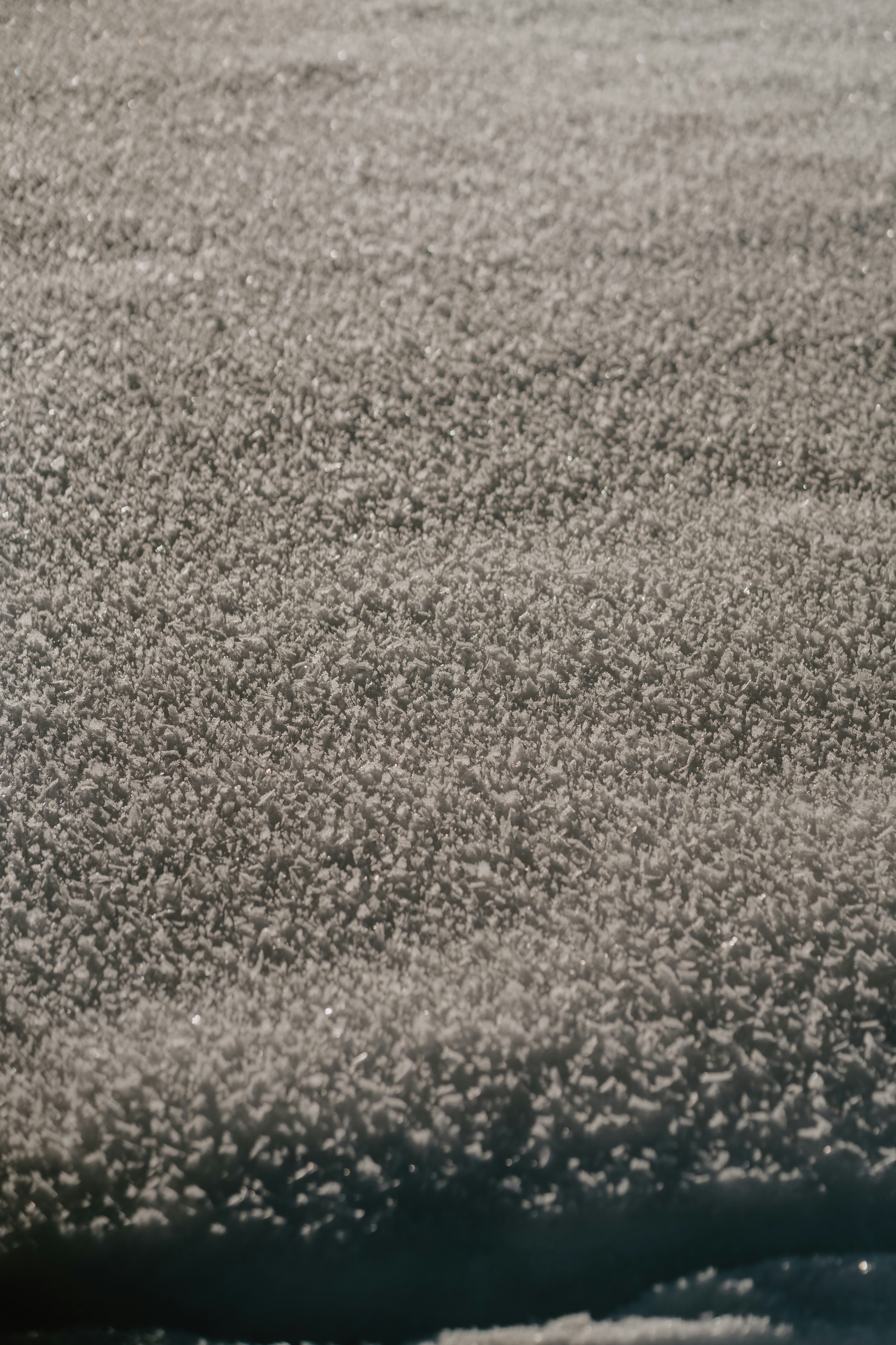 Photo by lenakestler