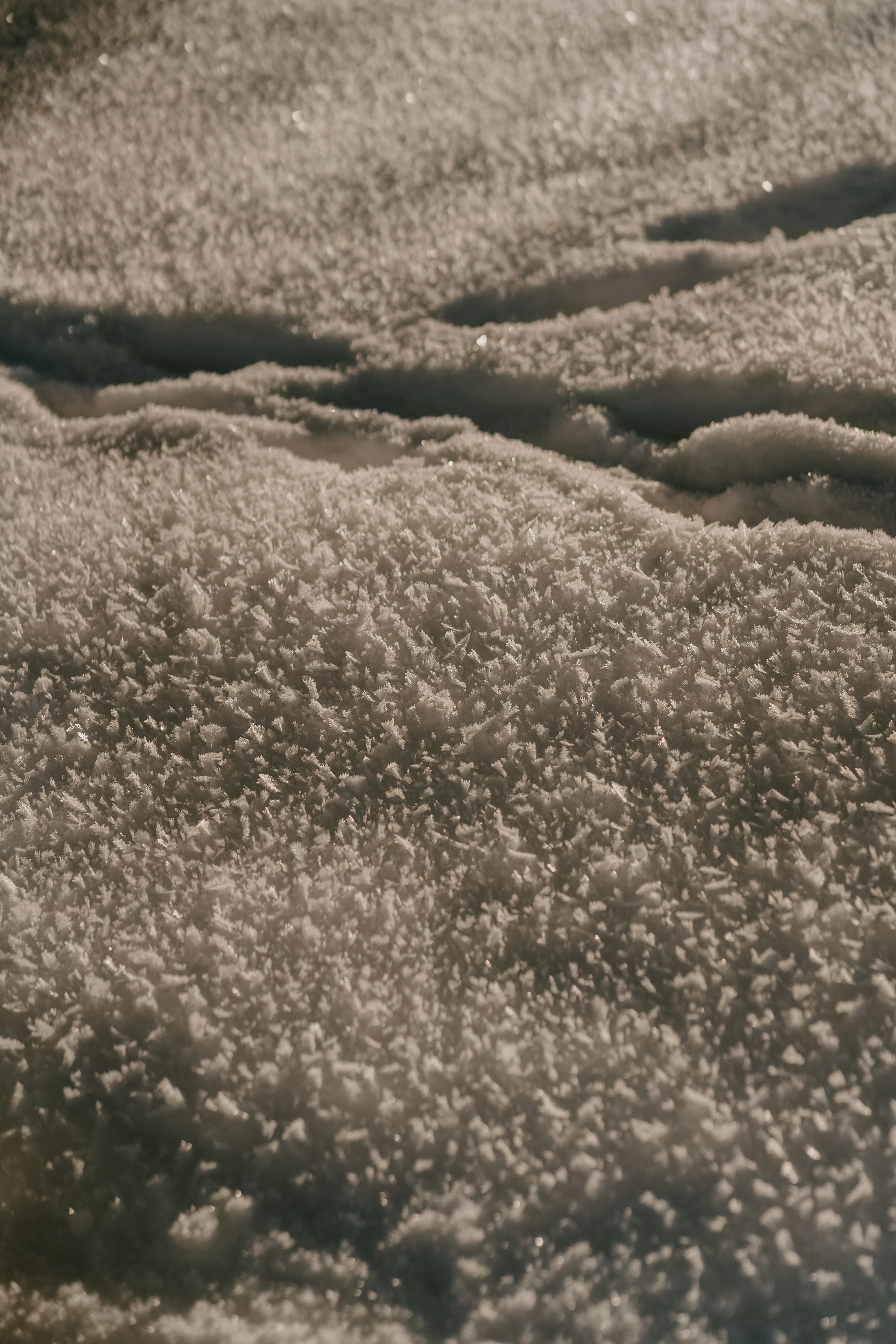 Photo by lenakestler