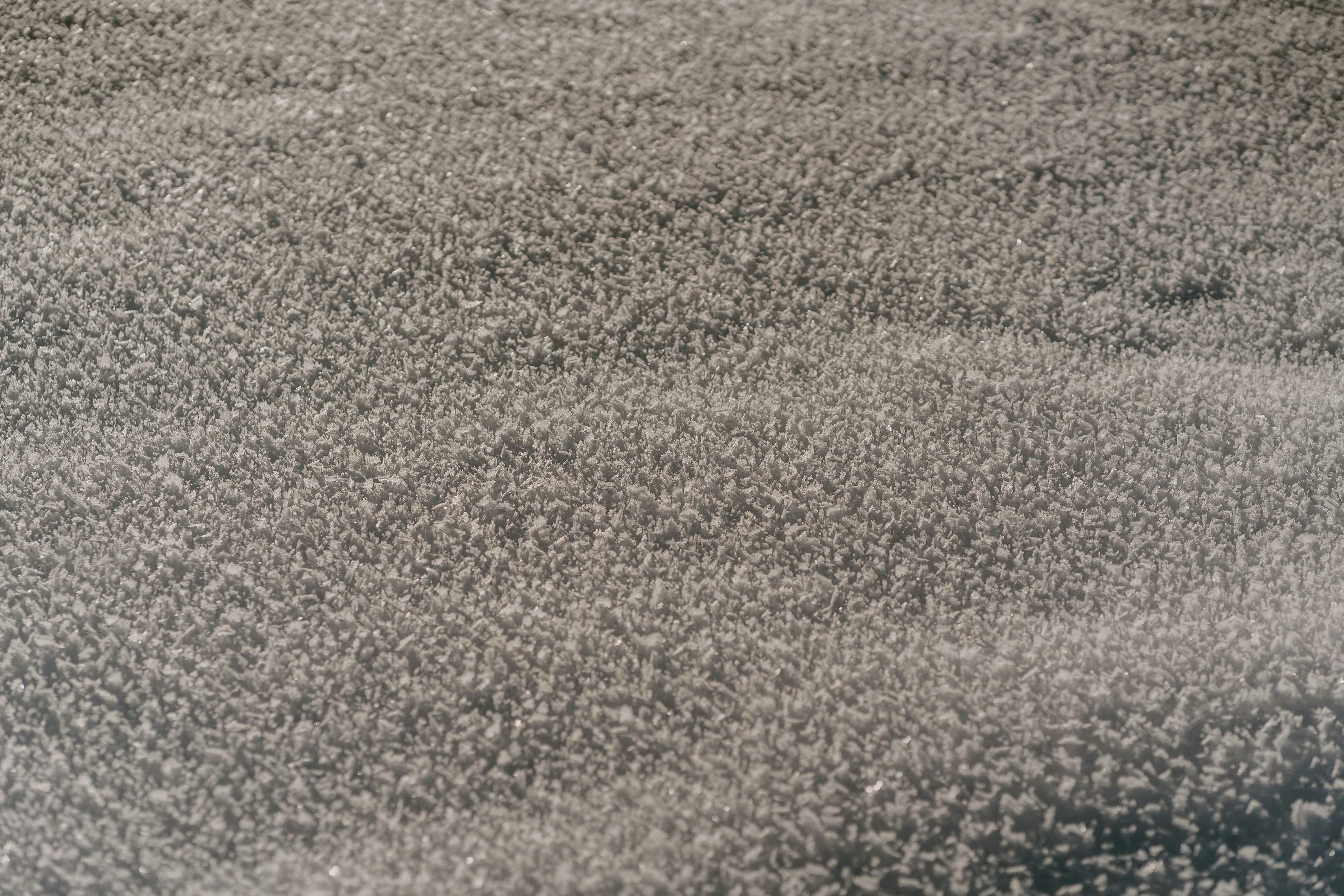 Photo by lenakestler