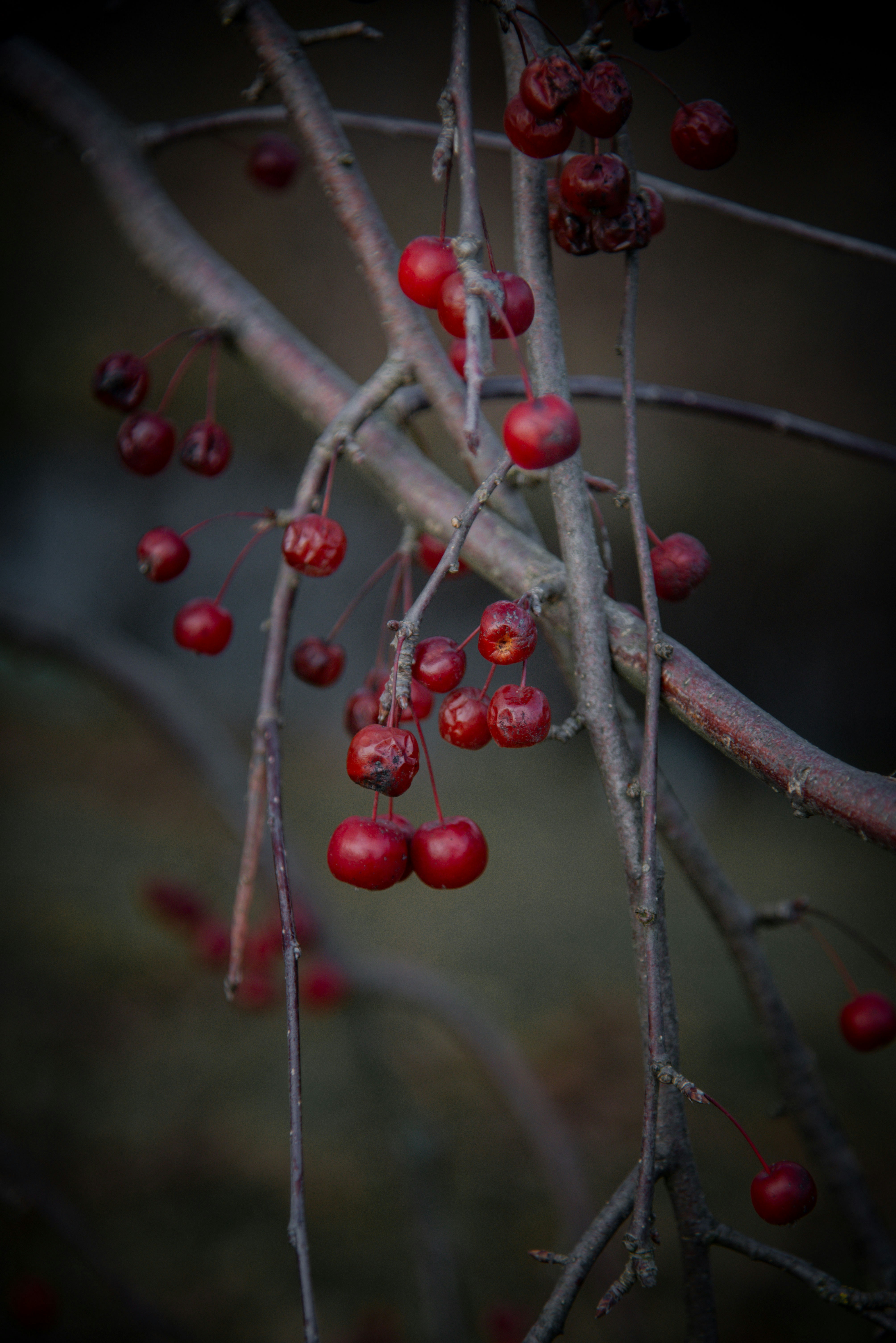 Photo by malwinanogaj