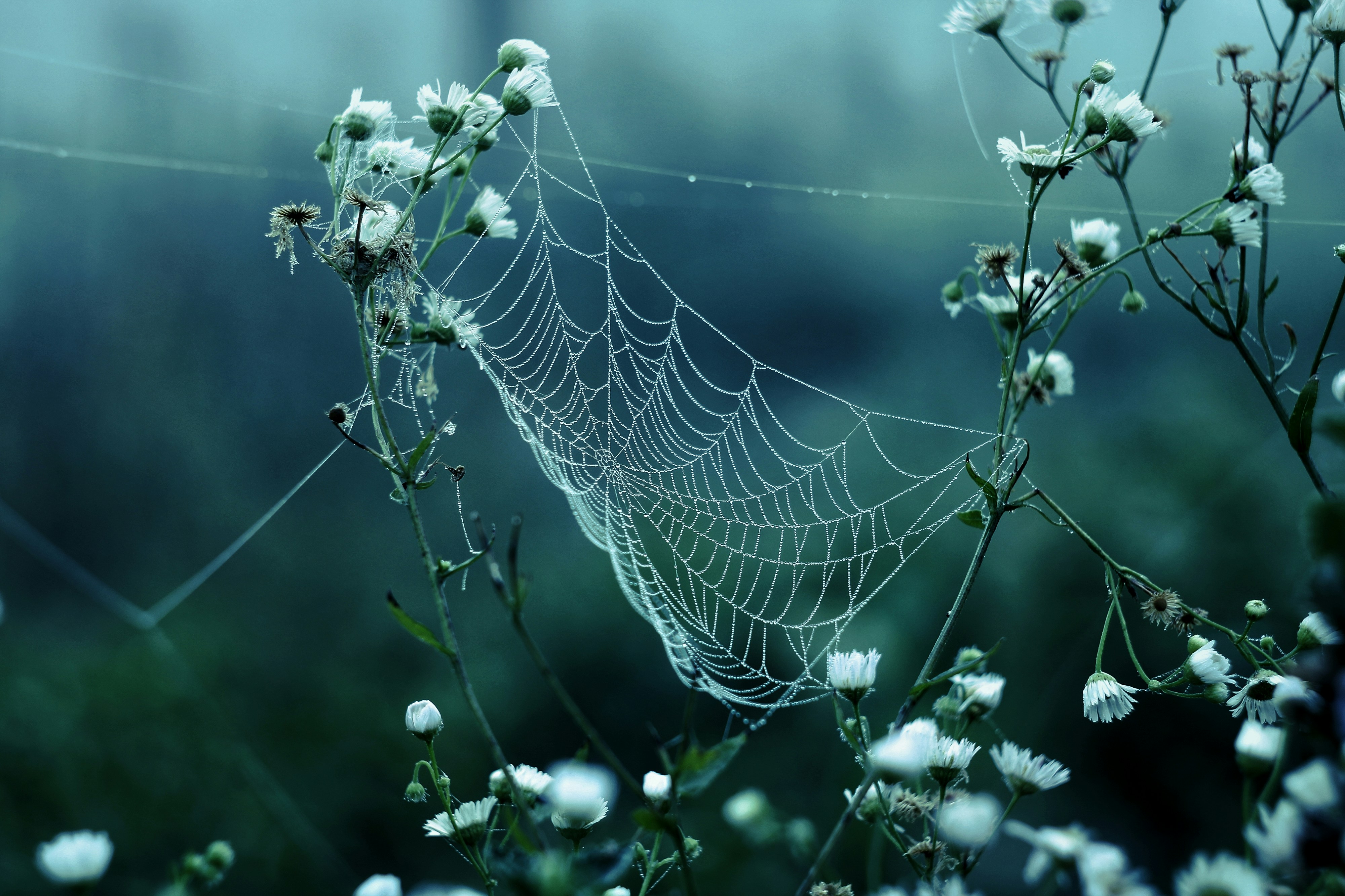 Photo by mineral_of_demon