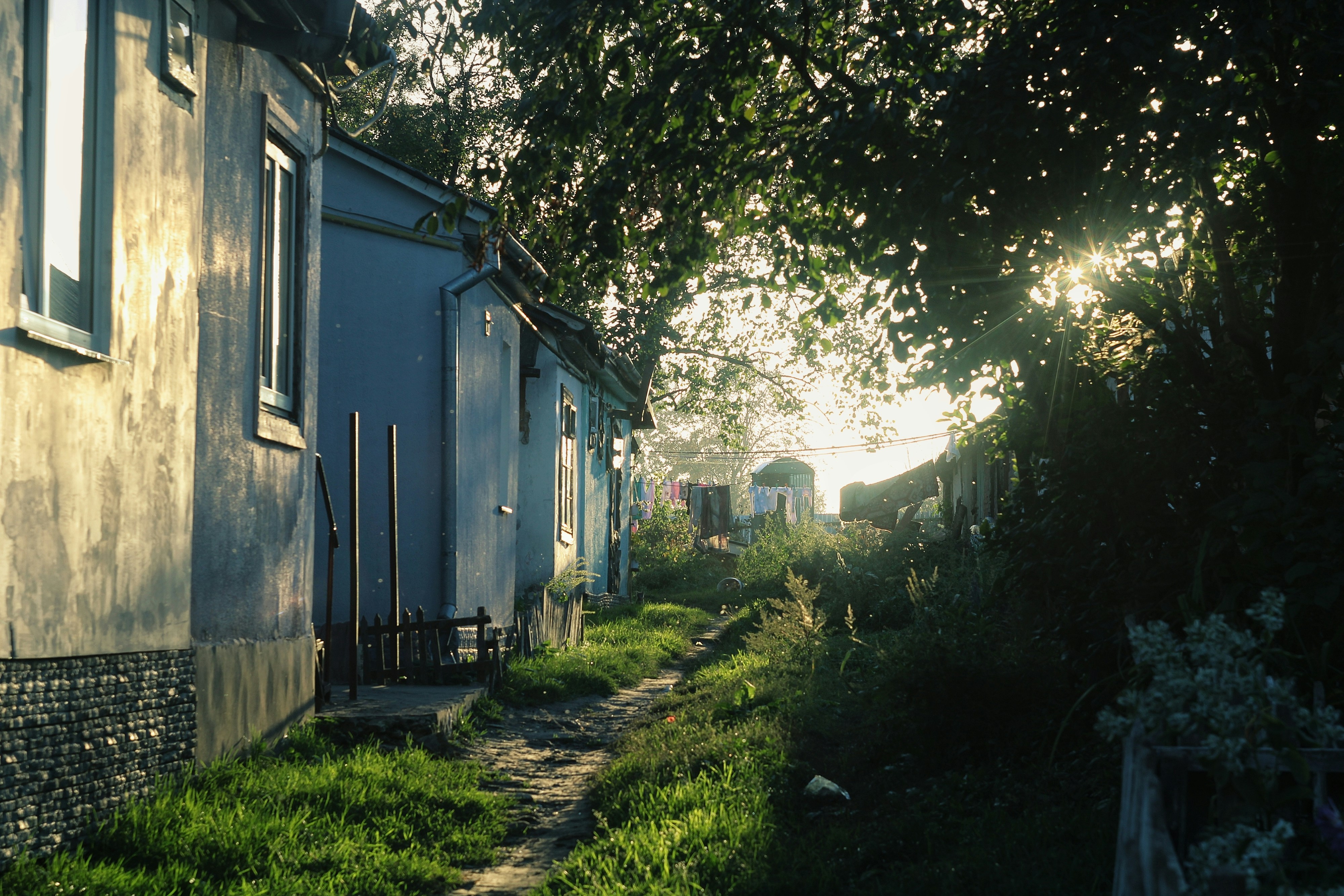 Photo by mineral_of_demon