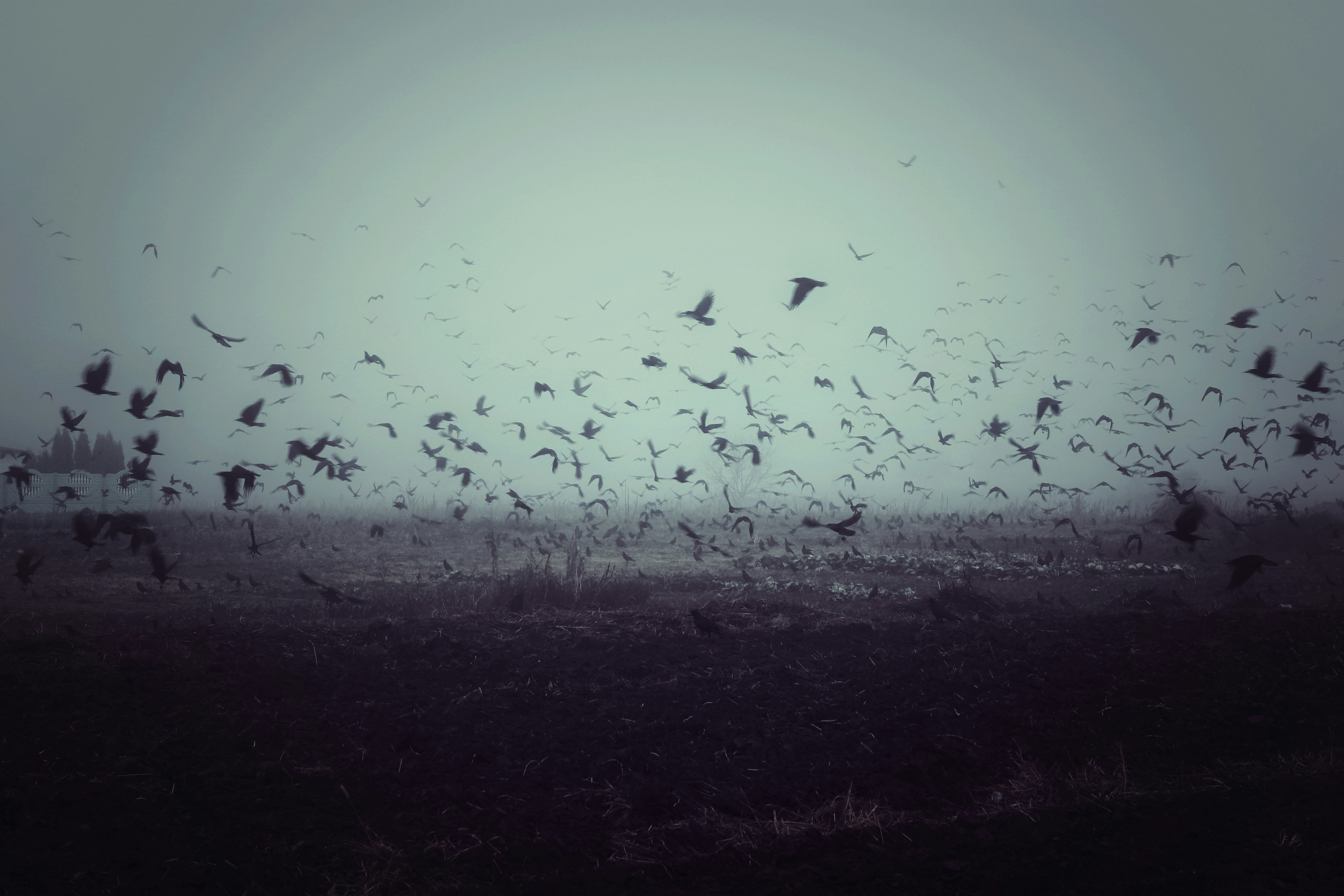 Photo by mineral_of_demon