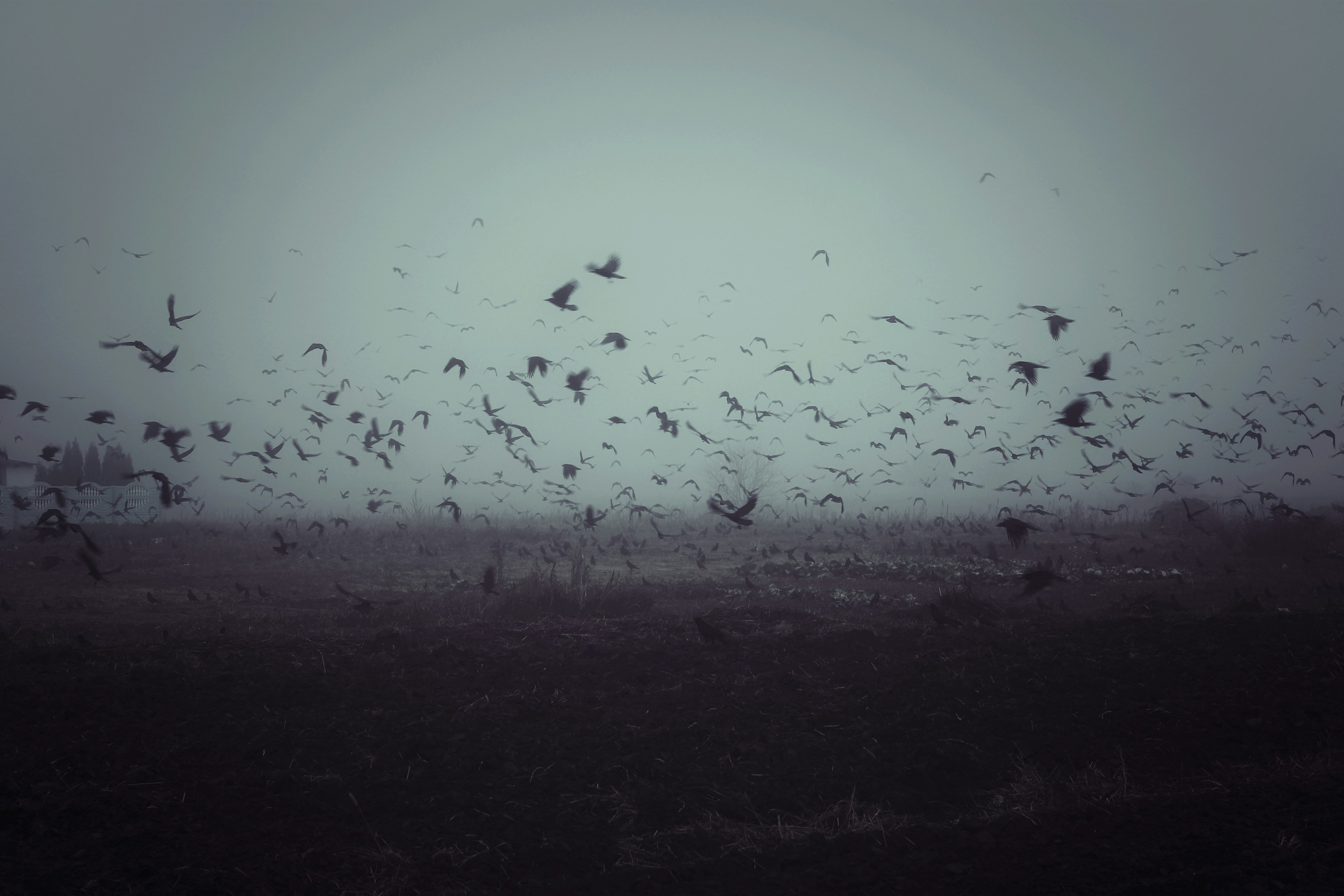 Photo by mineral_of_demon