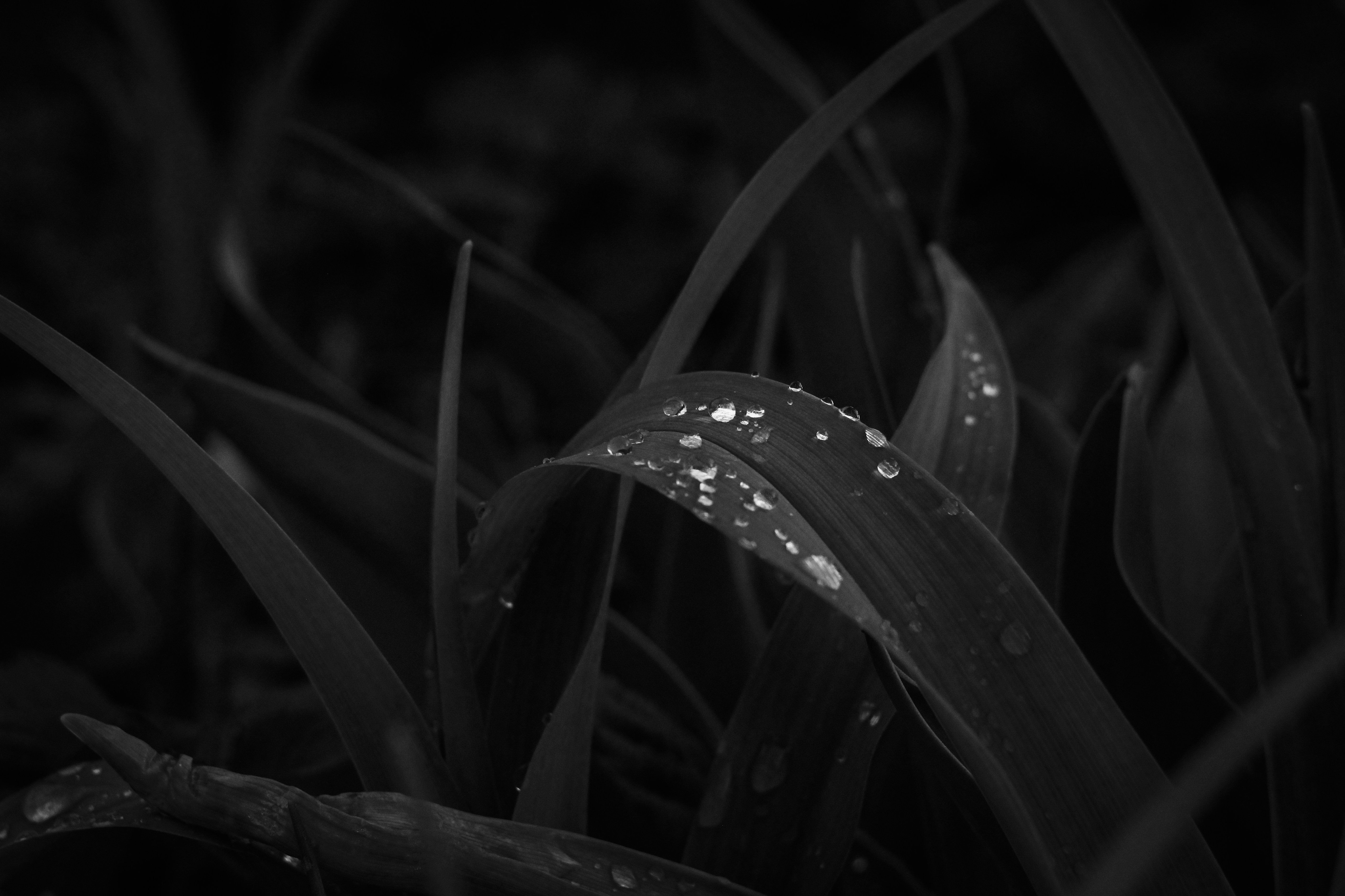 Photo by mineral_of_demon