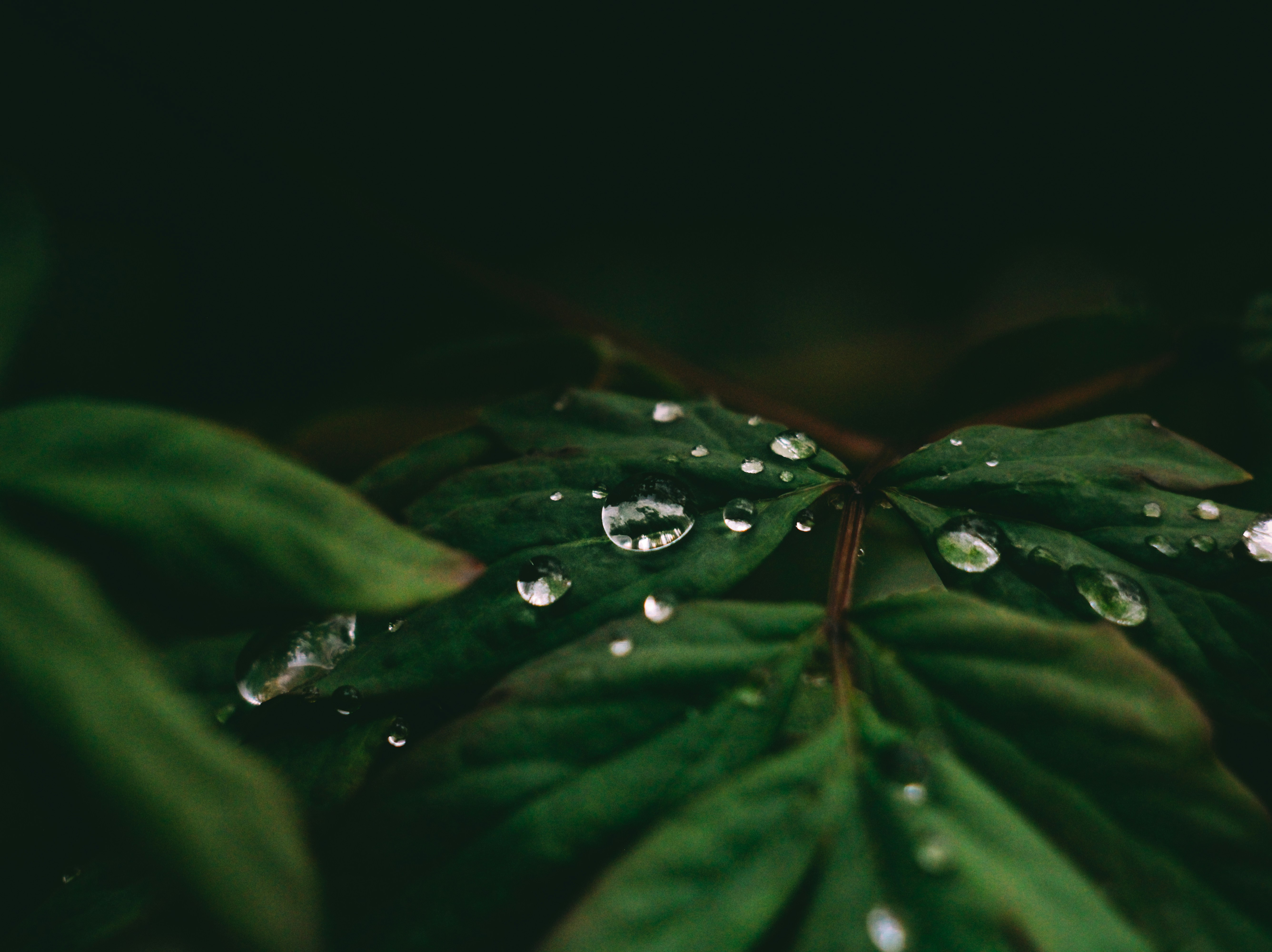 Photo by mineral_of_demon