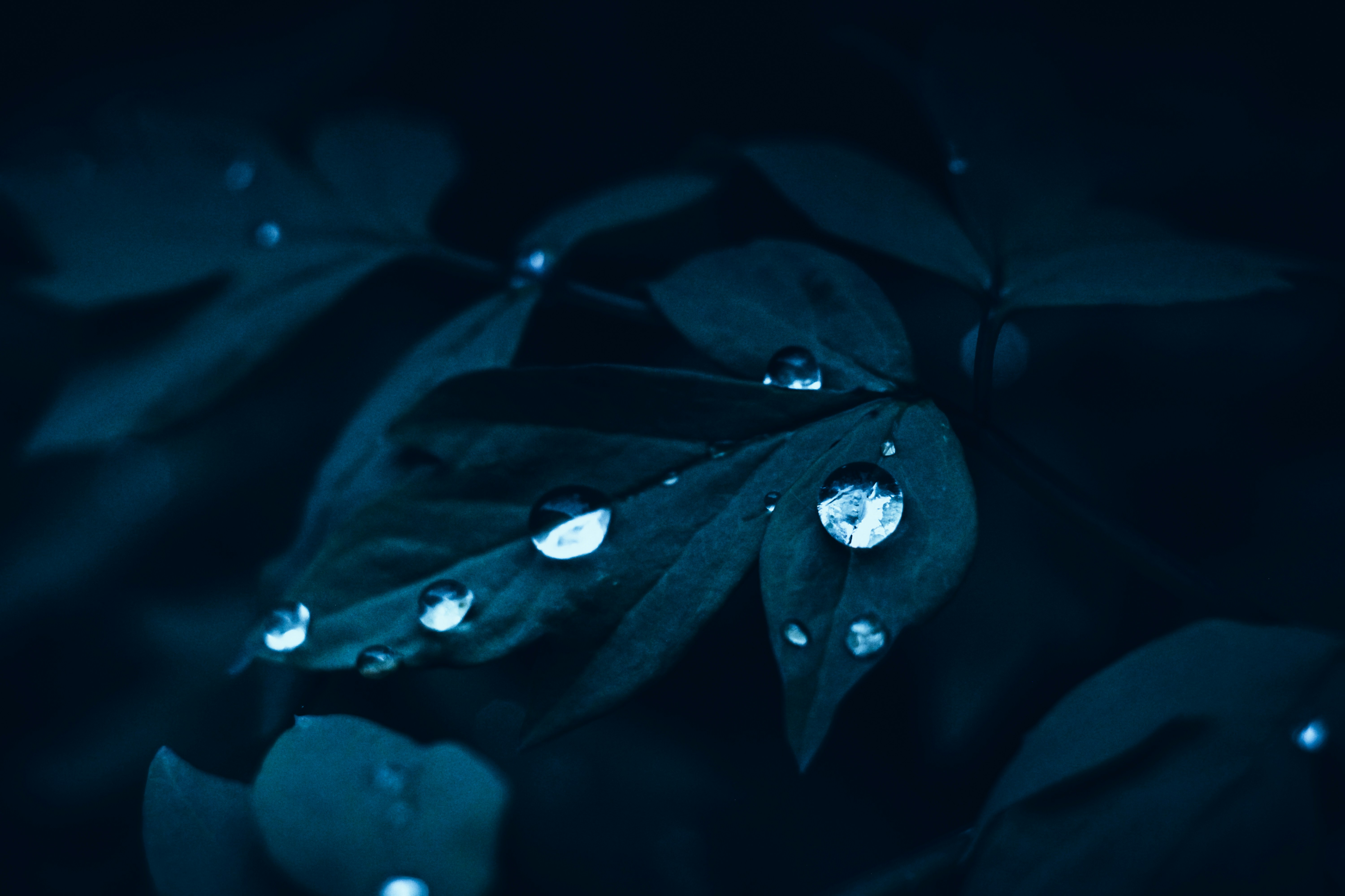 Photo by mineral_of_demon