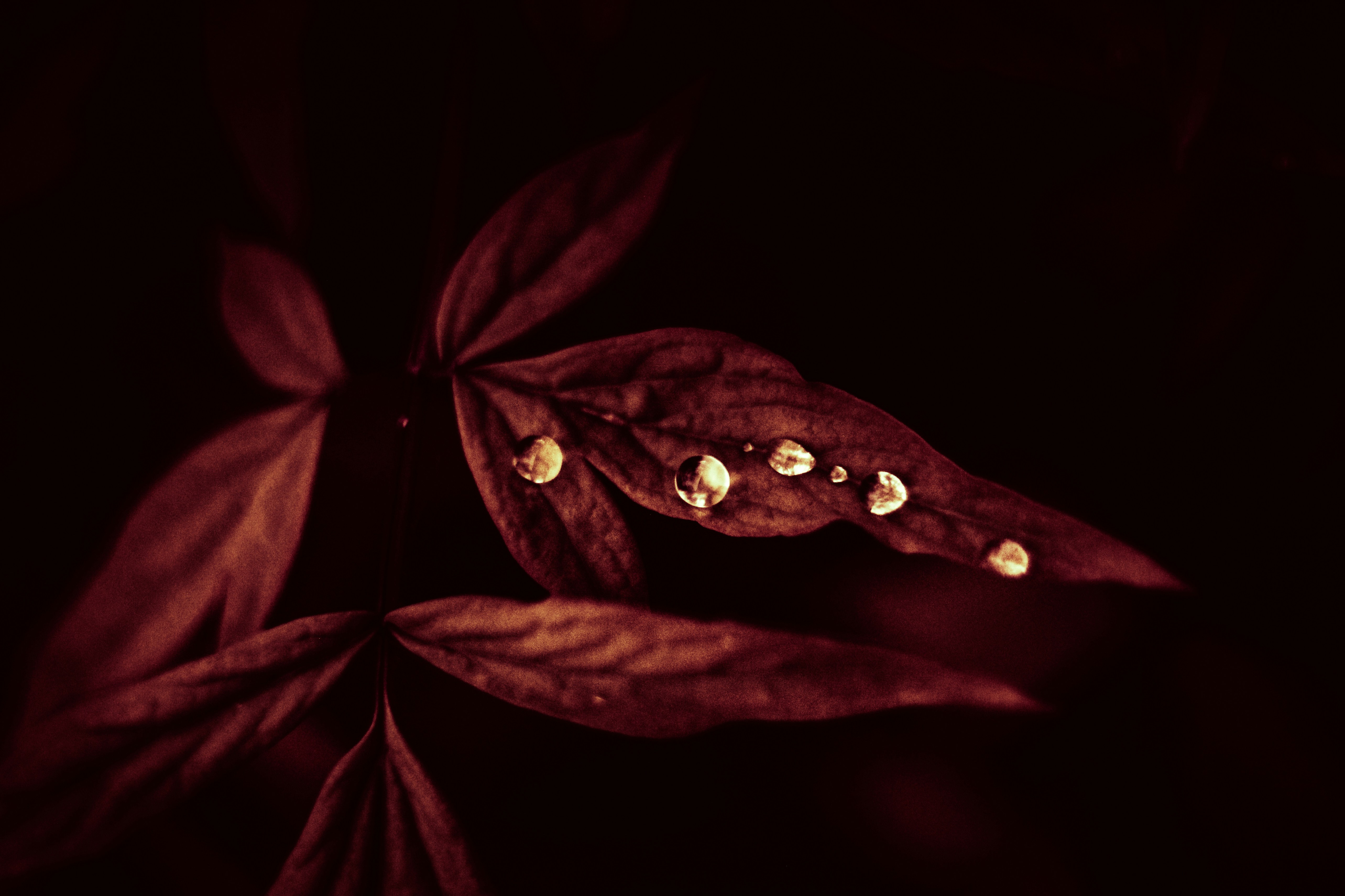 Photo by mineral_of_demon