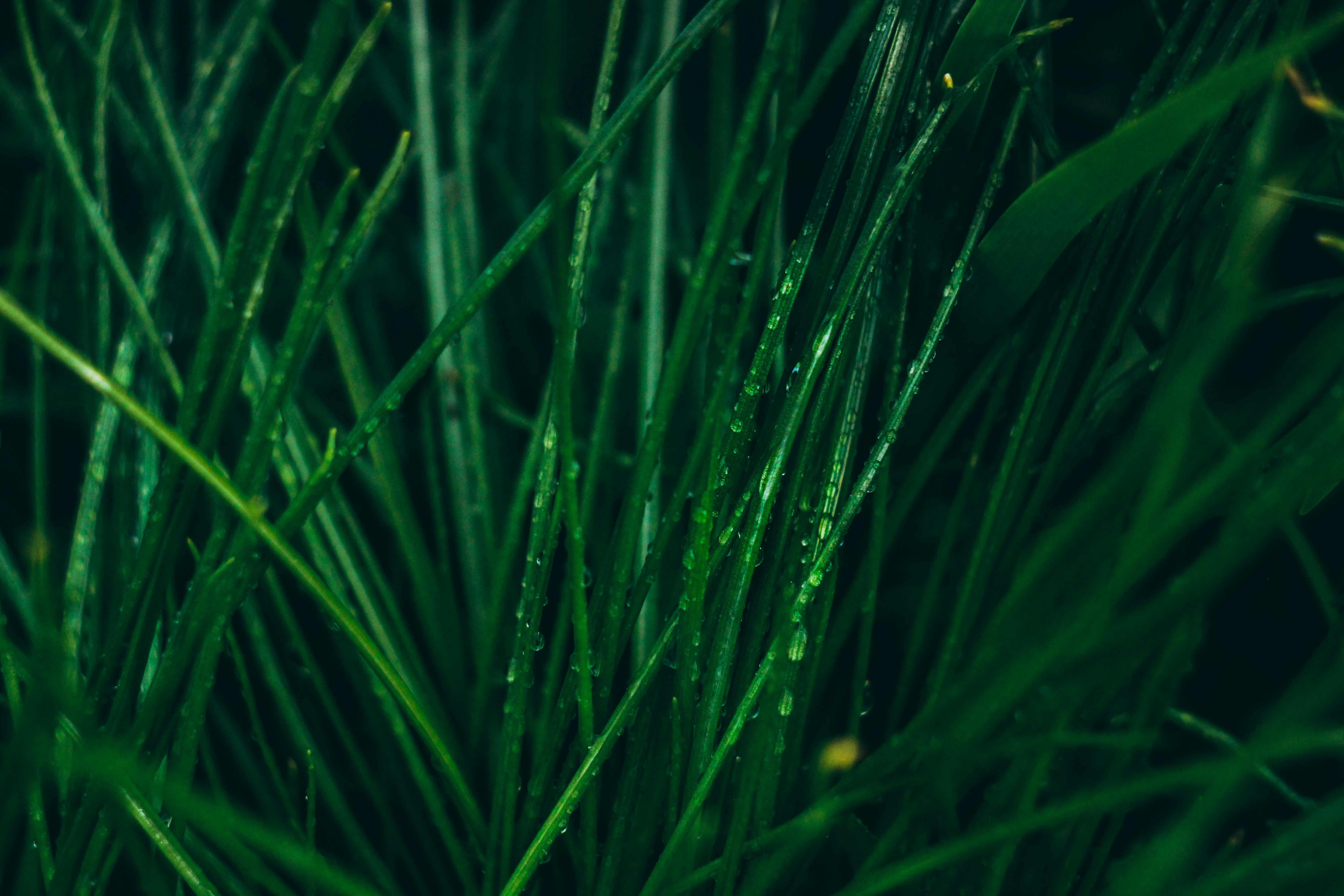 Photo by mineral_of_demon