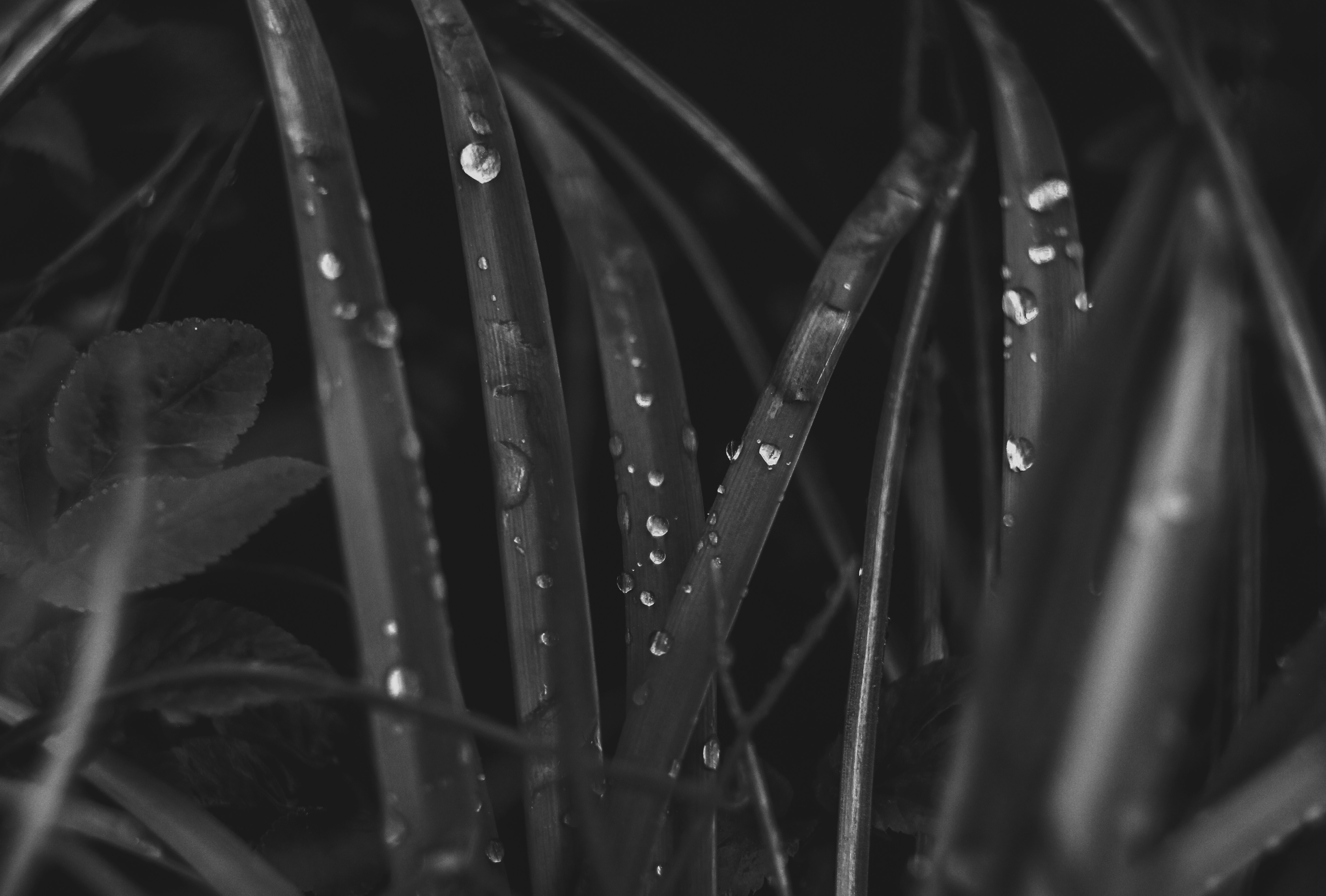 Photo by mineral_of_demon