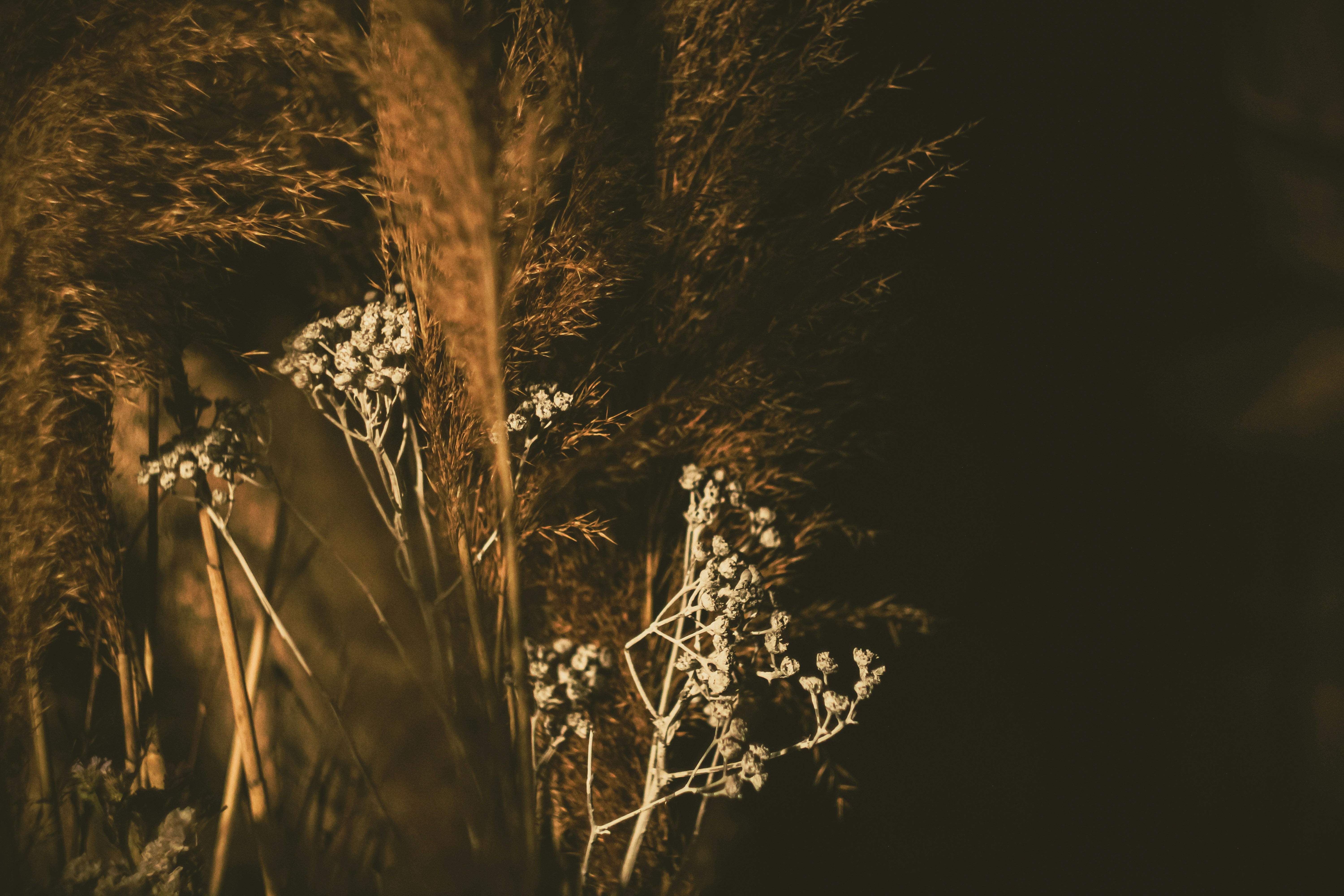 Photo by mineral_of_demon