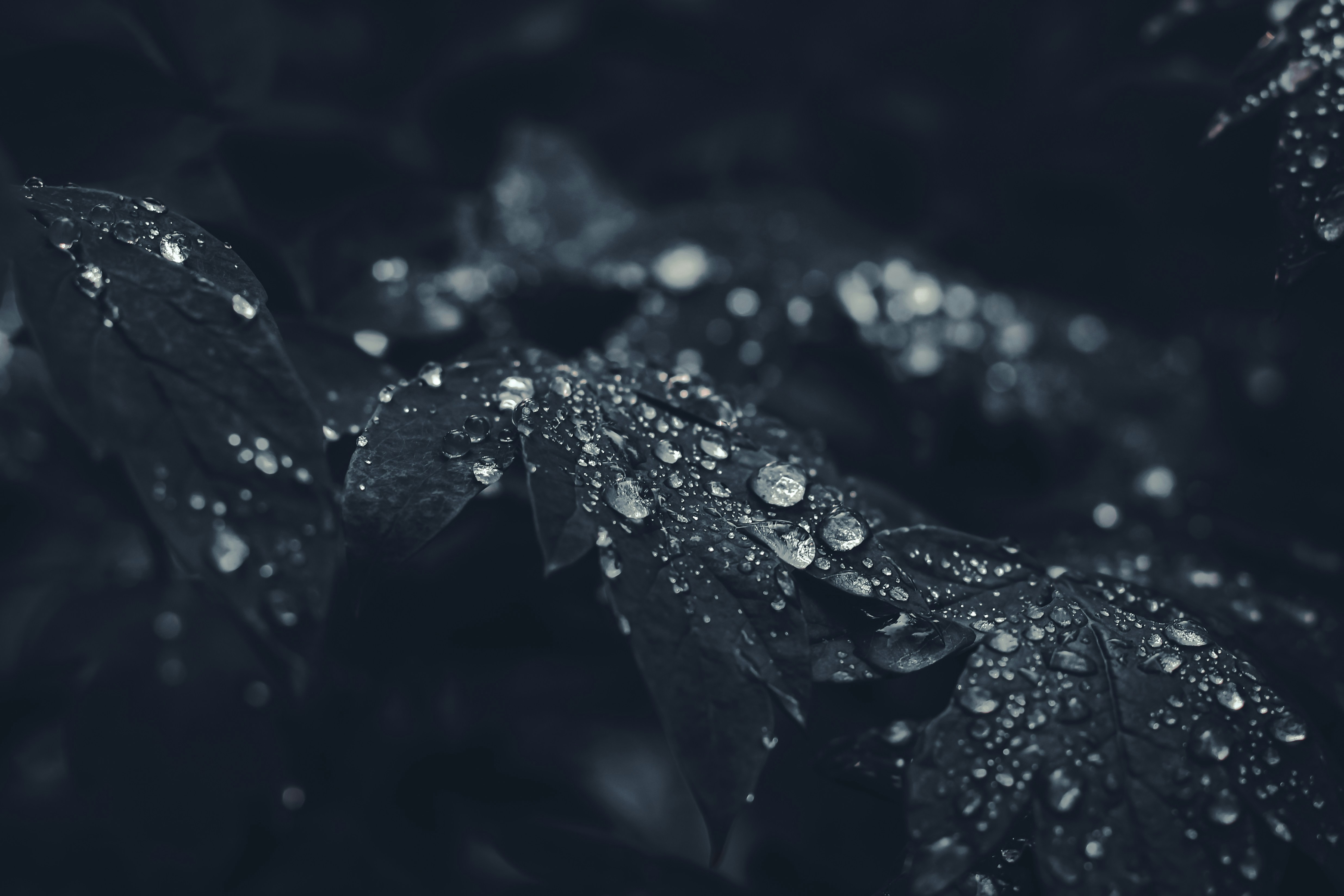 Photo by mineral_of_demon