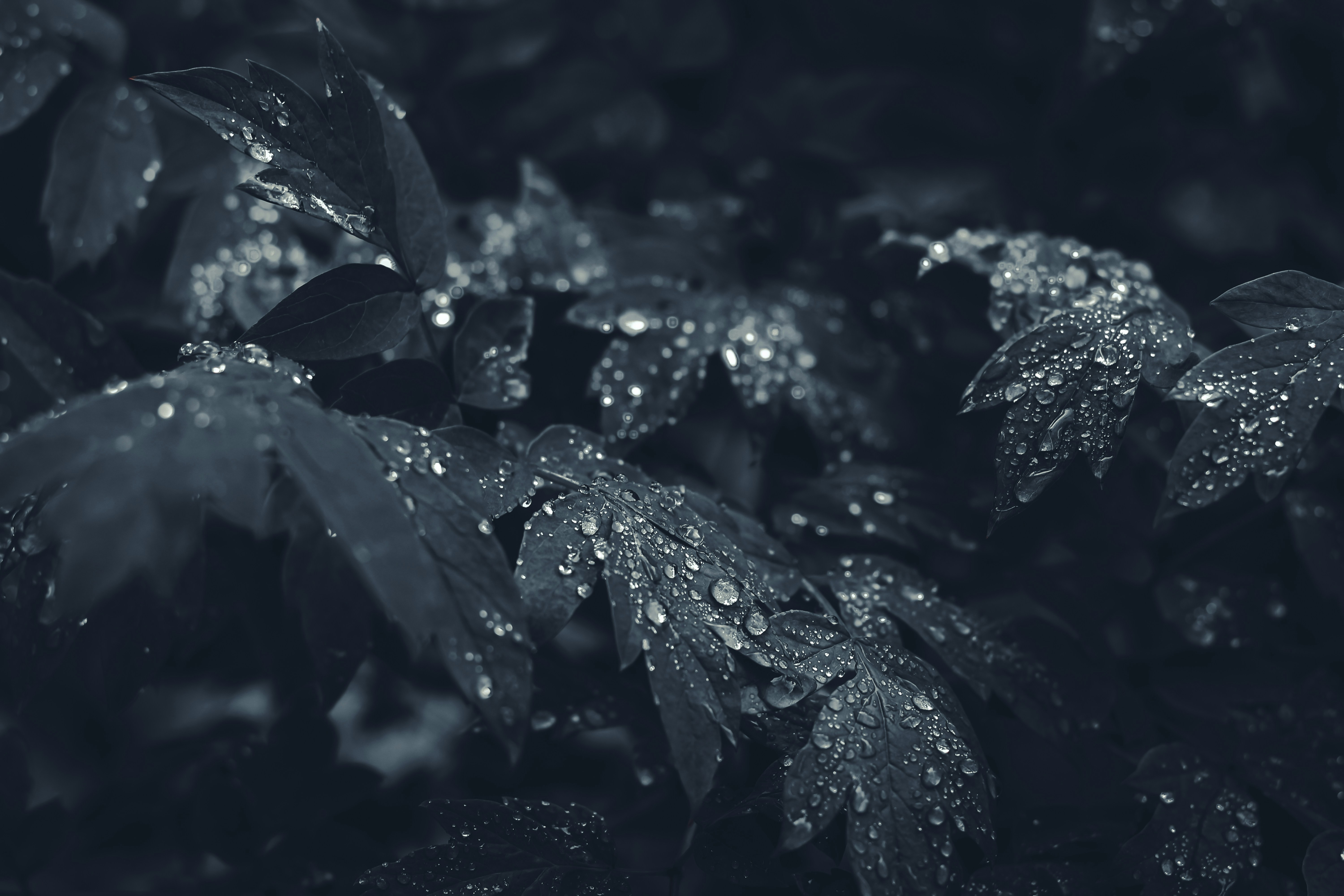 Photo by mineral_of_demon