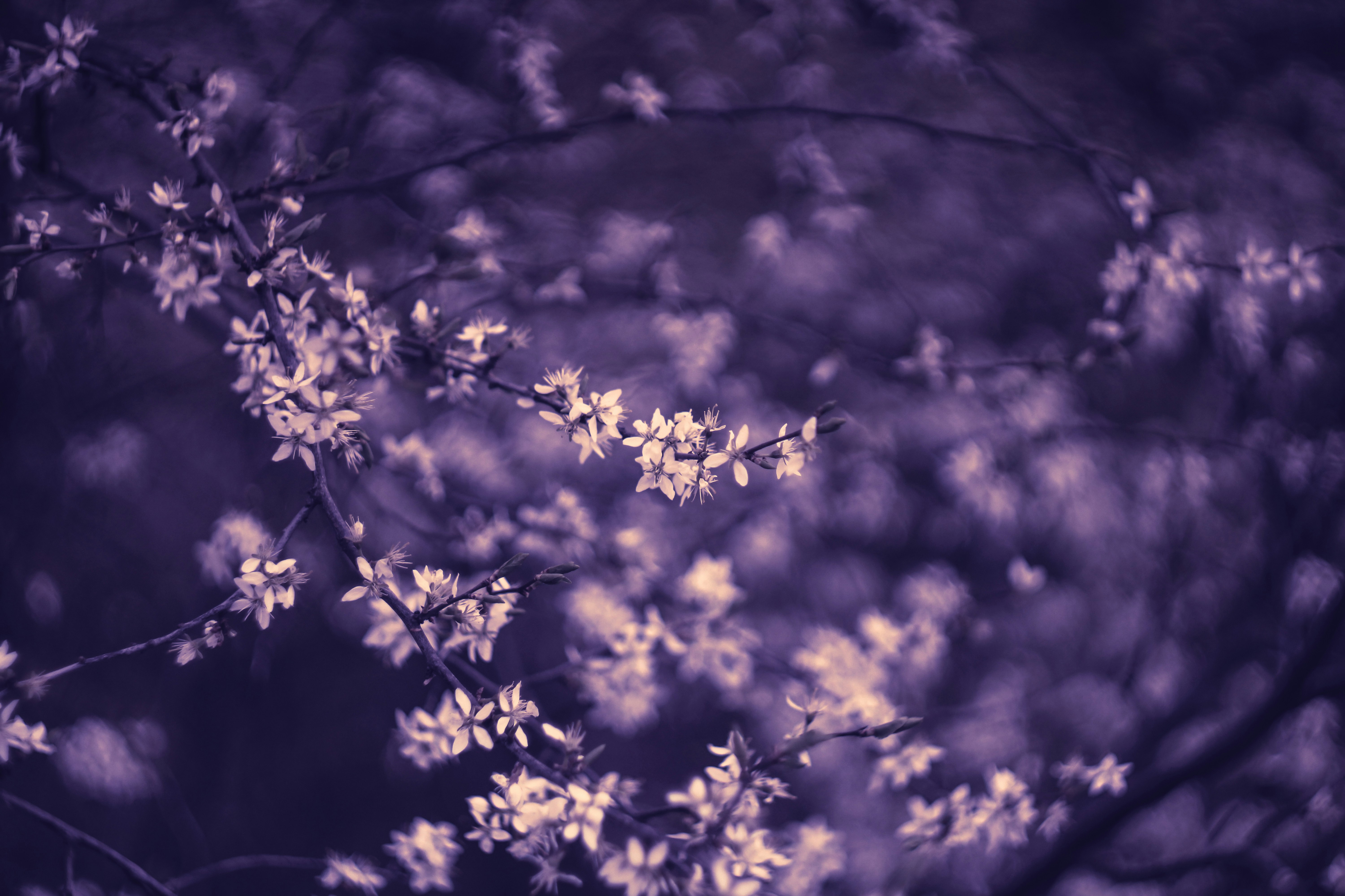 Photo by mineral_of_demon