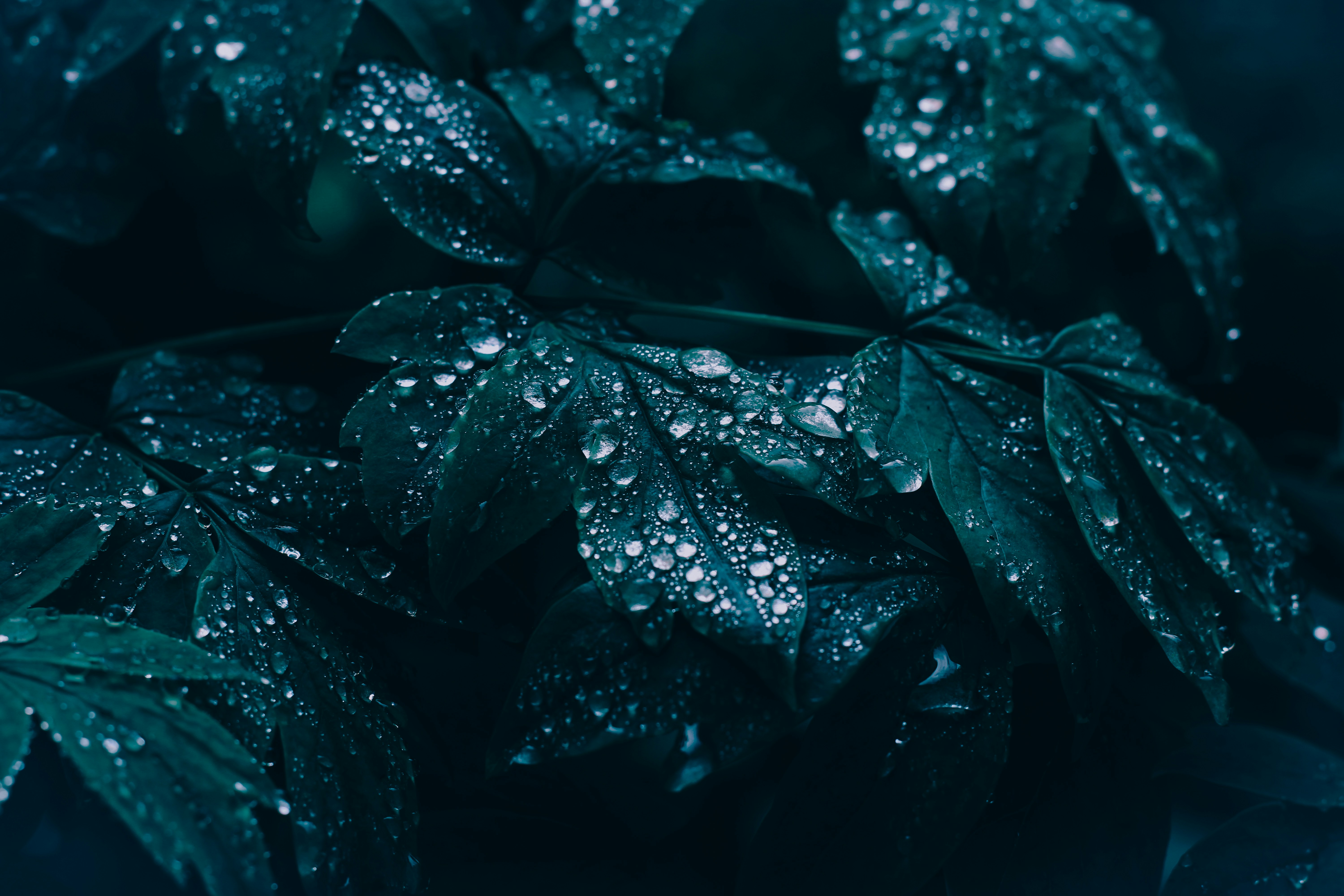 Photo by mineral_of_demon