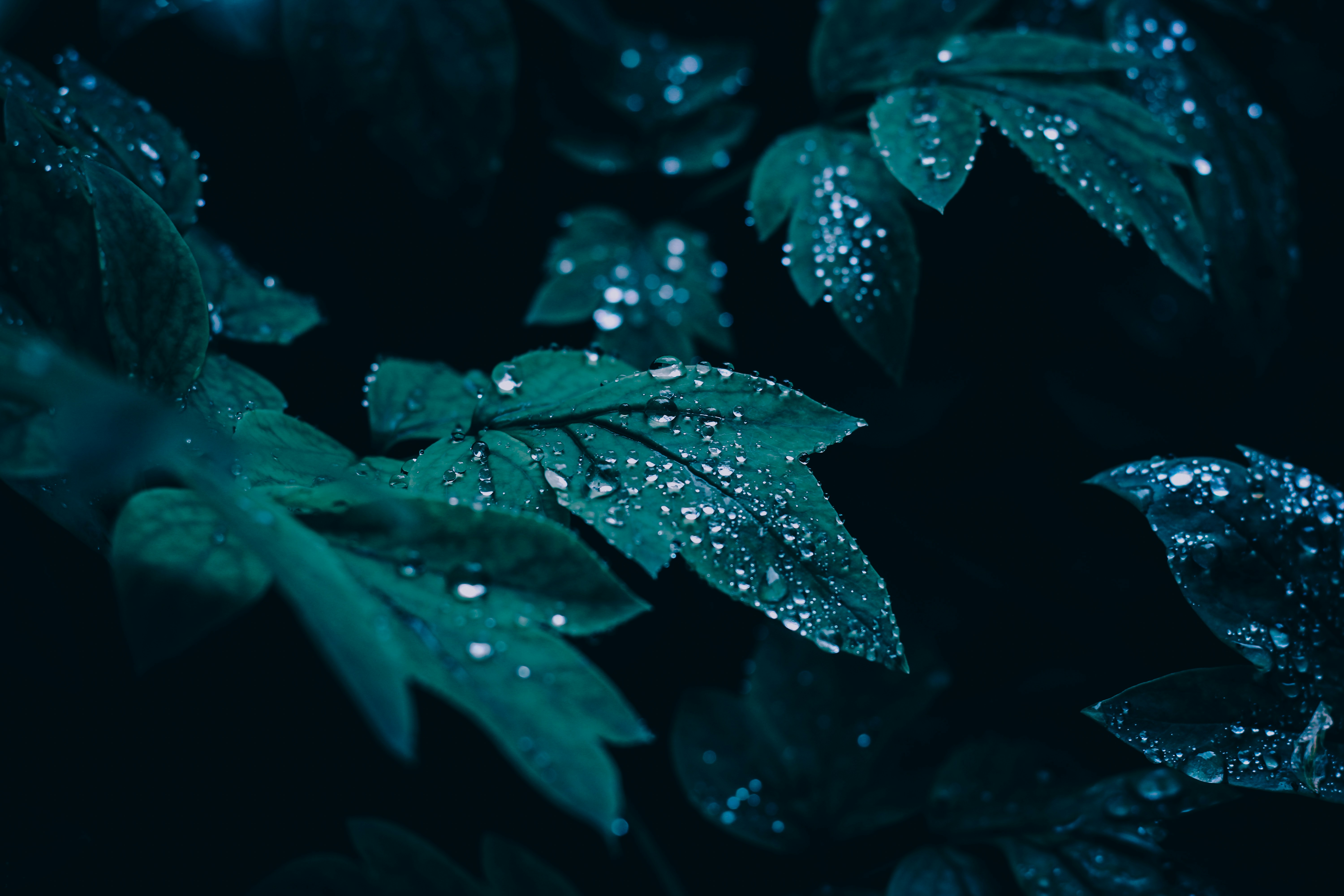 Photo by mineral_of_demon