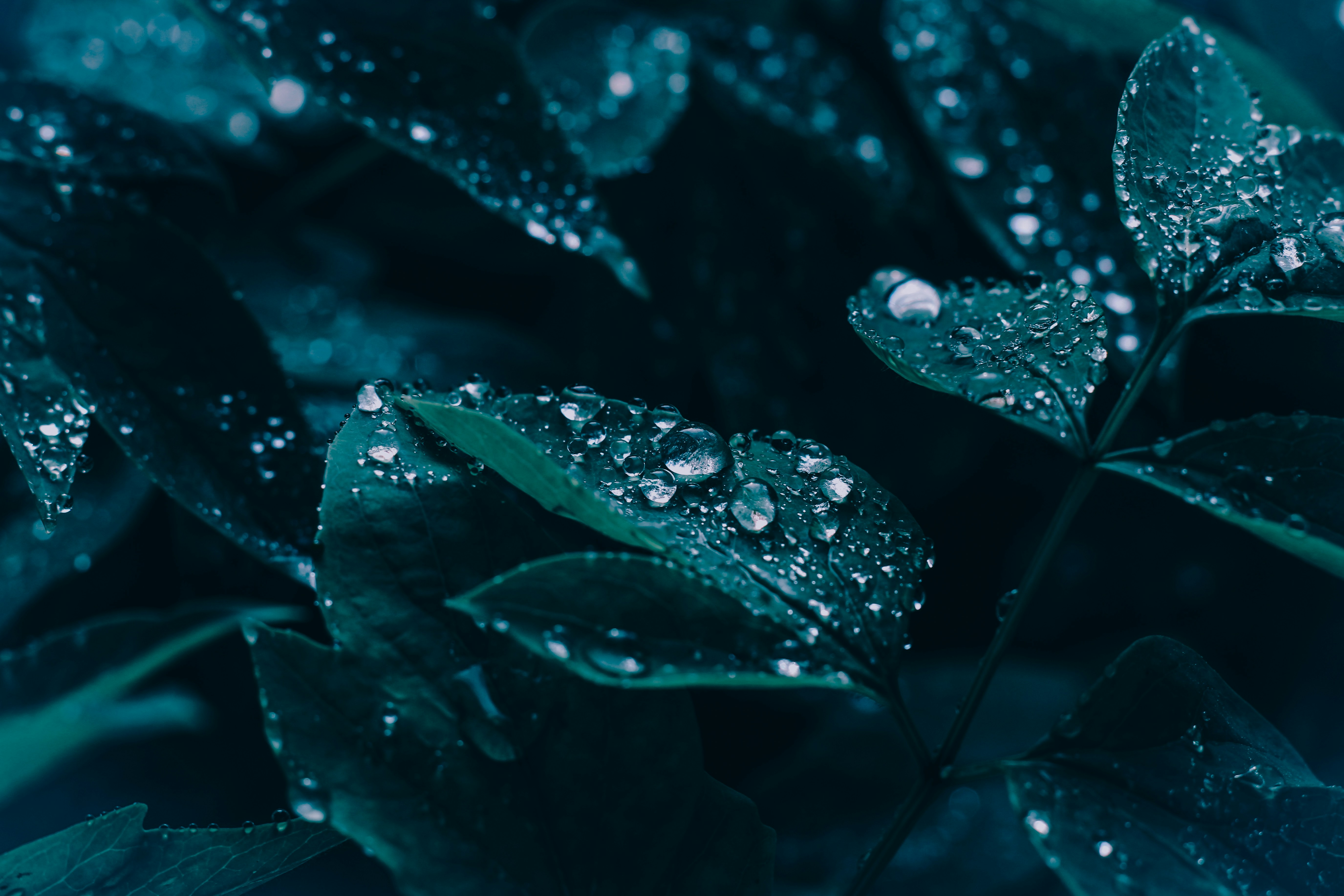 Photo by mineral_of_demon