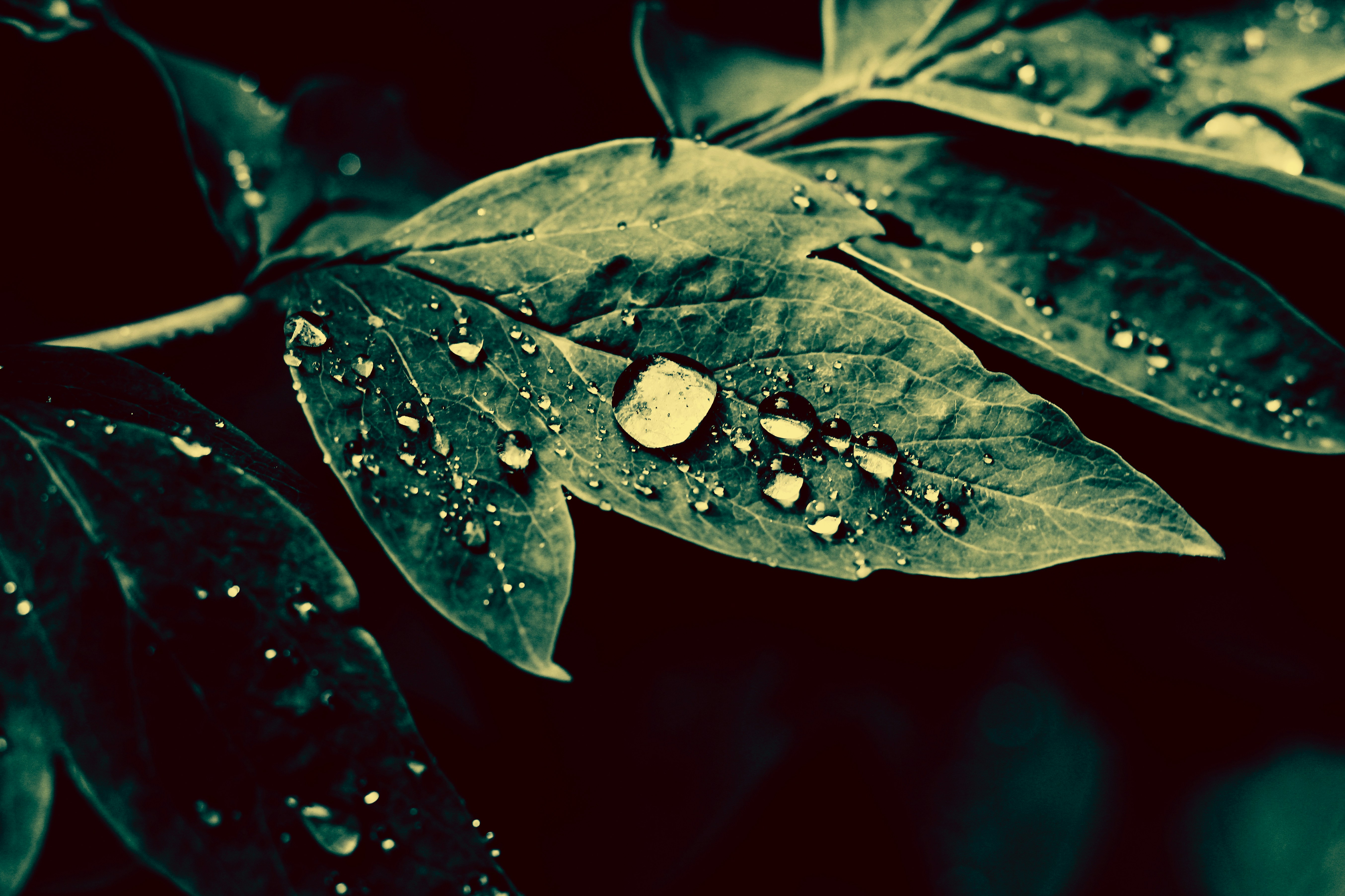 Photo by mineral_of_demon