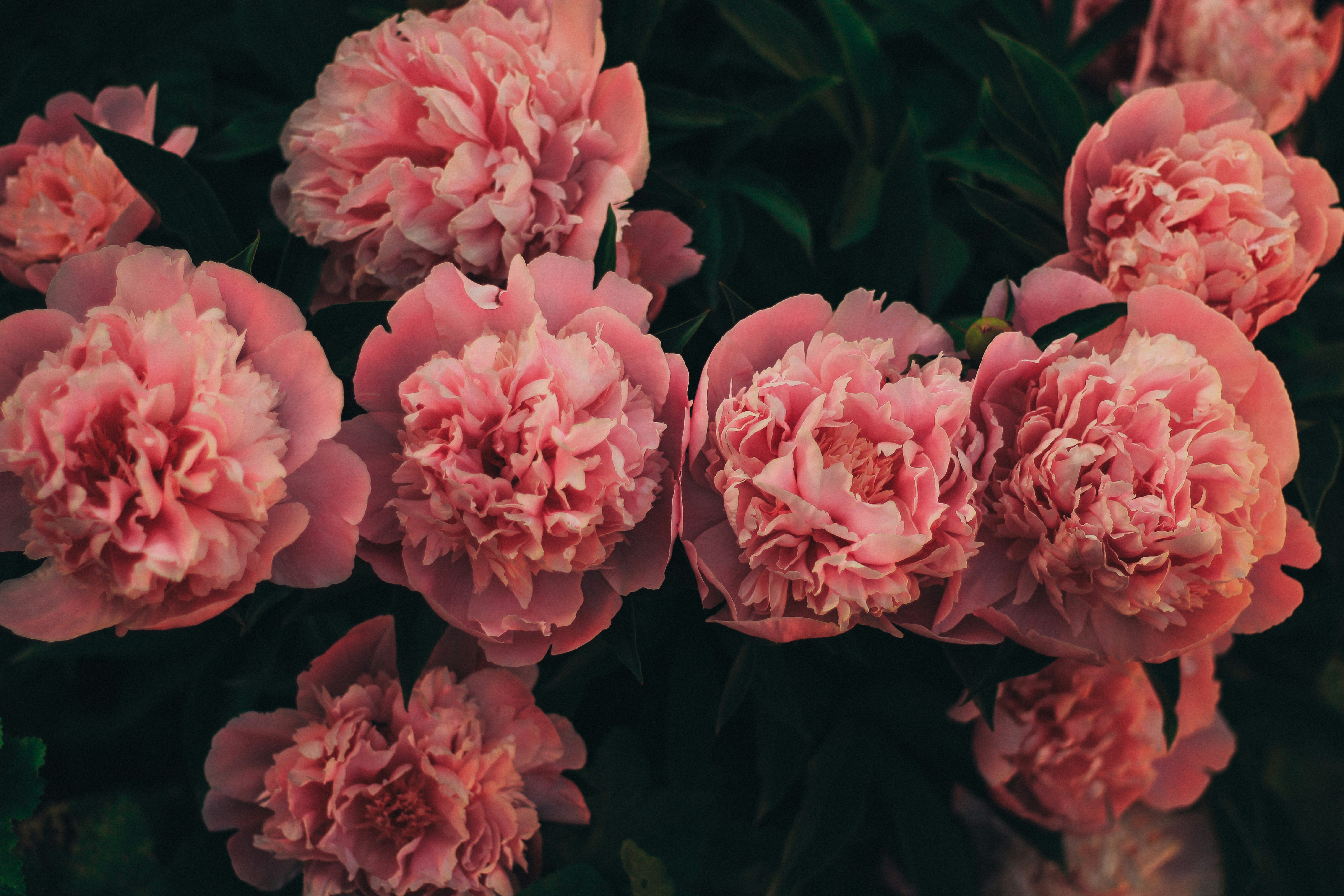 Photo by mineral_of_demon