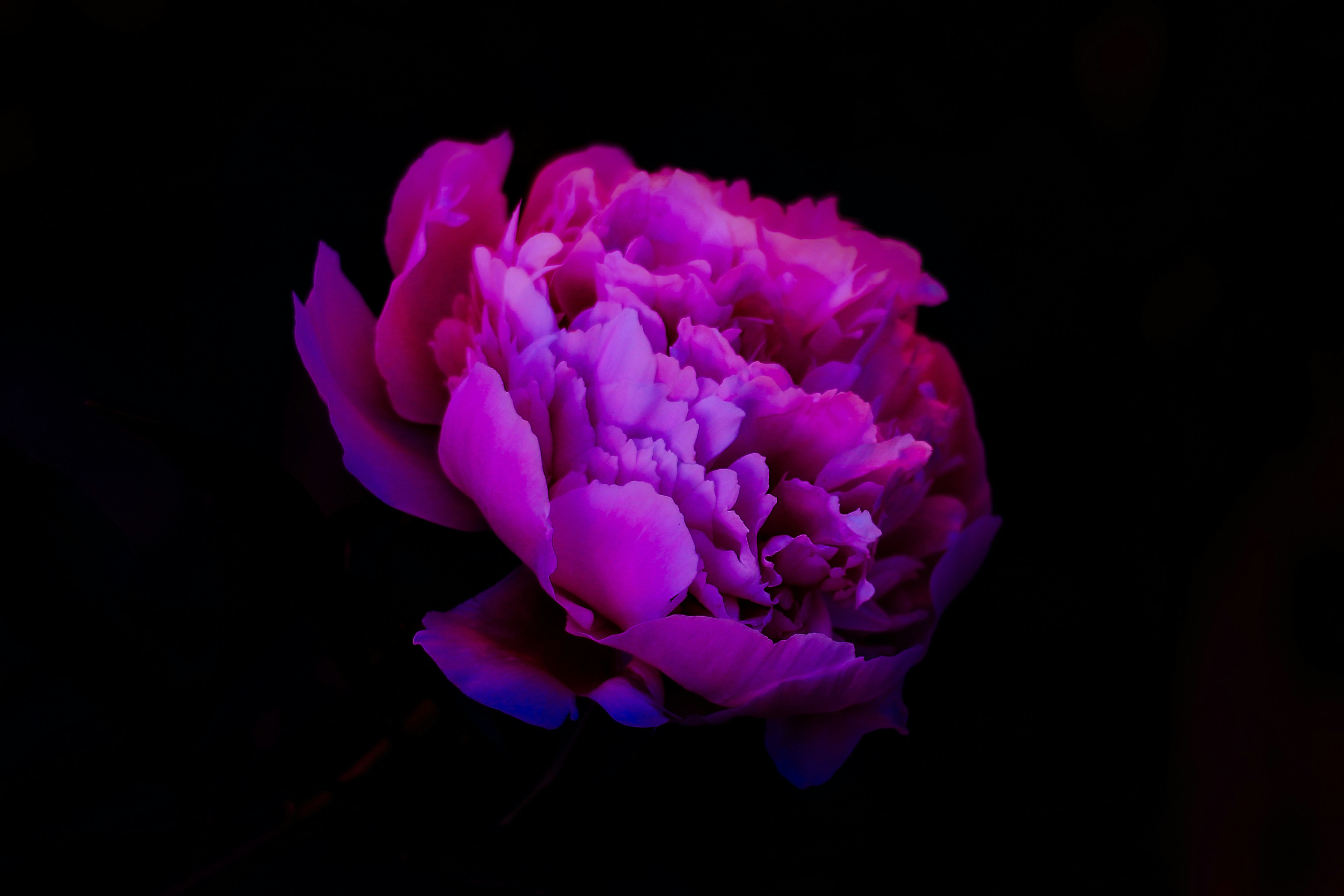 Photo by mineral_of_demon