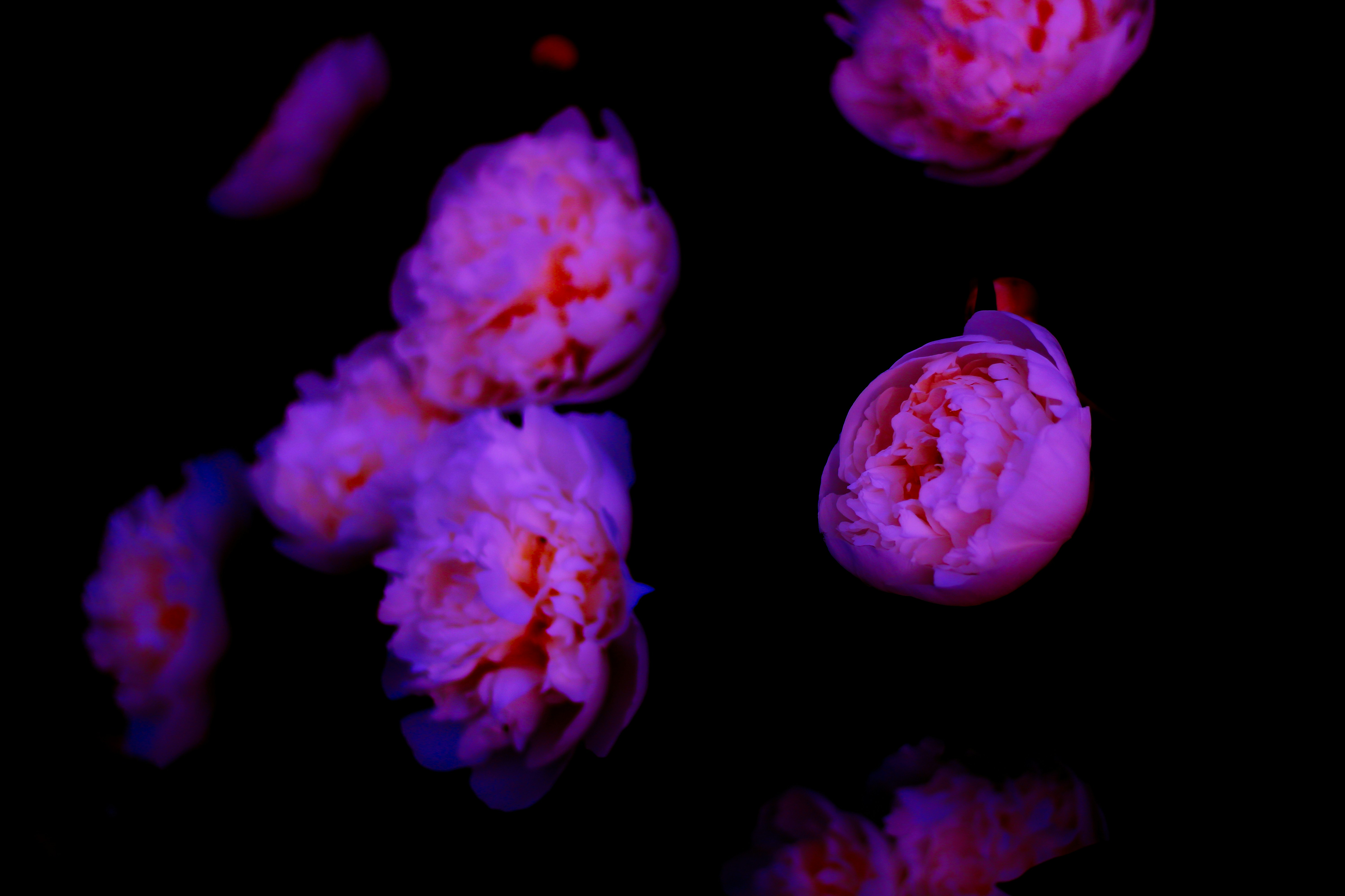 Photo by mineral_of_demon