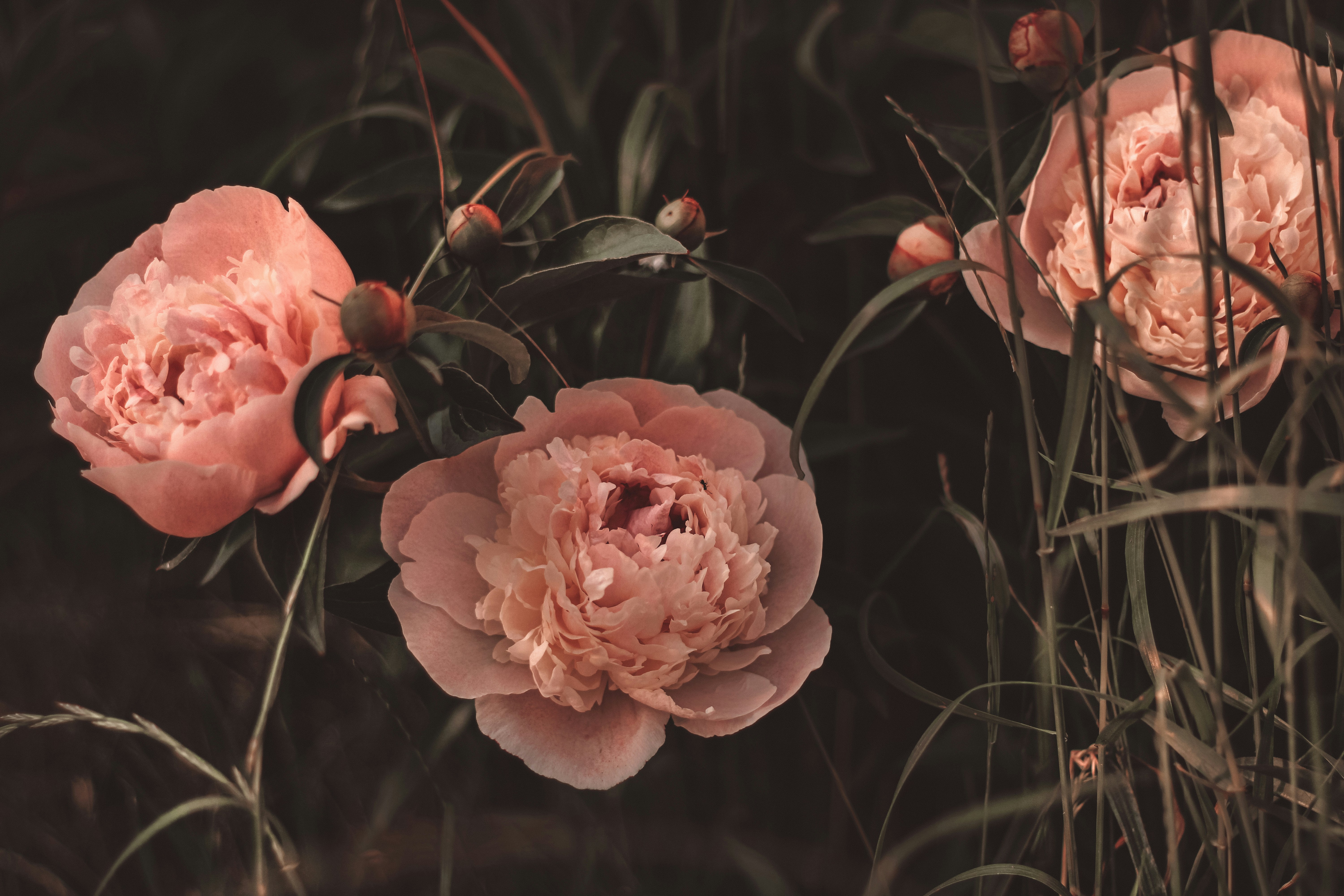 Photo by mineral_of_demon