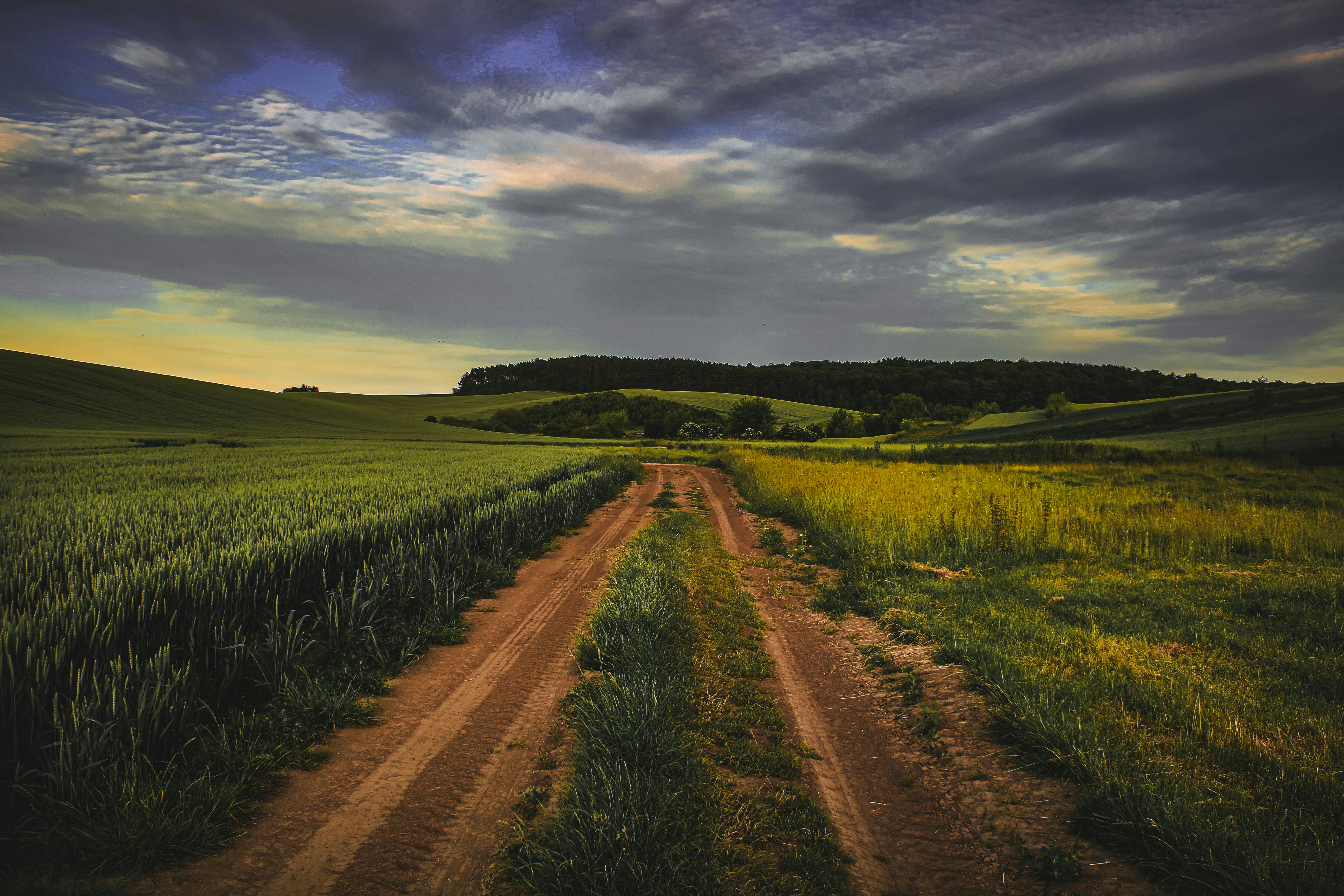 Photo by mineral_of_demon