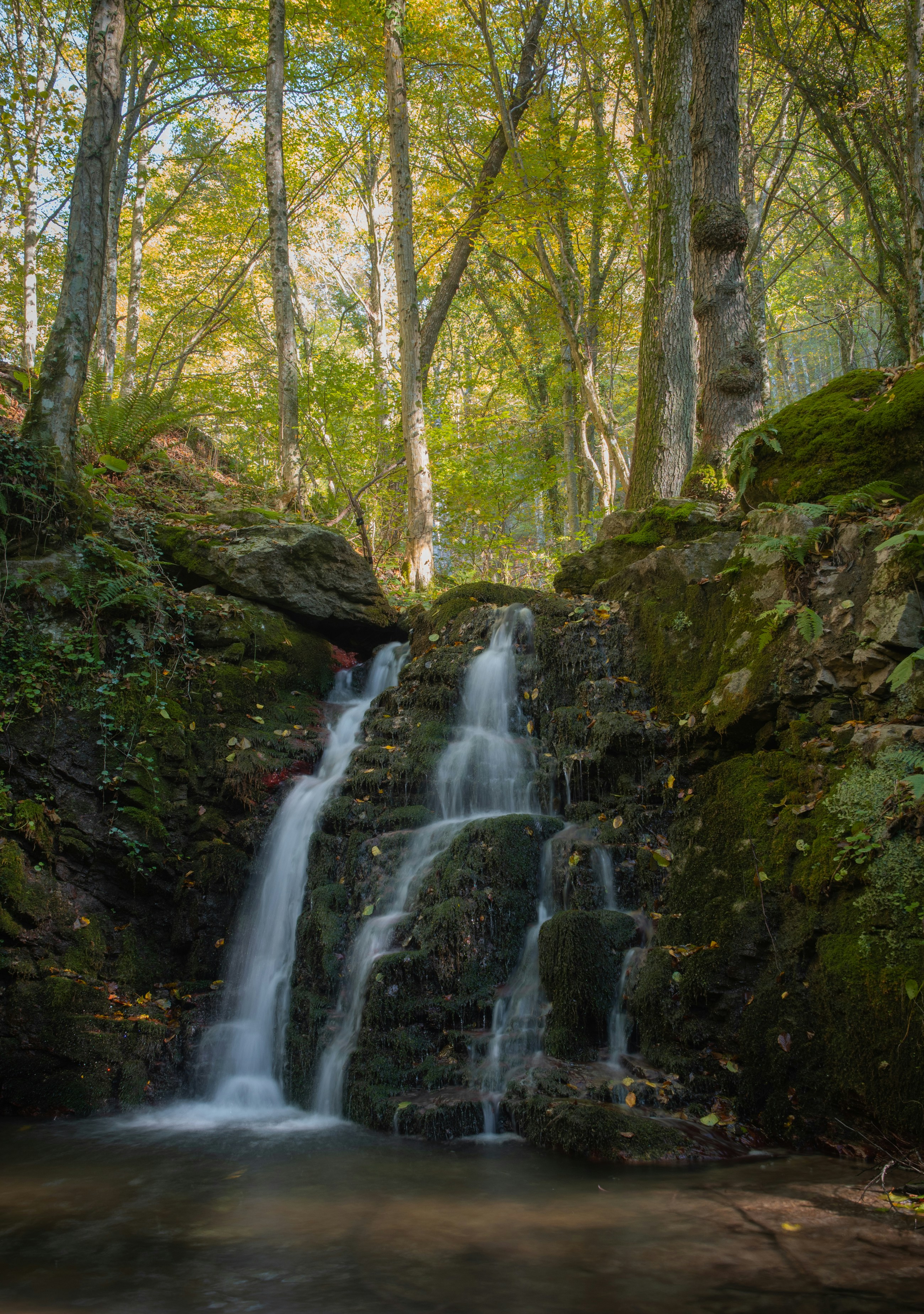 Photo by vjeblackbirdlion