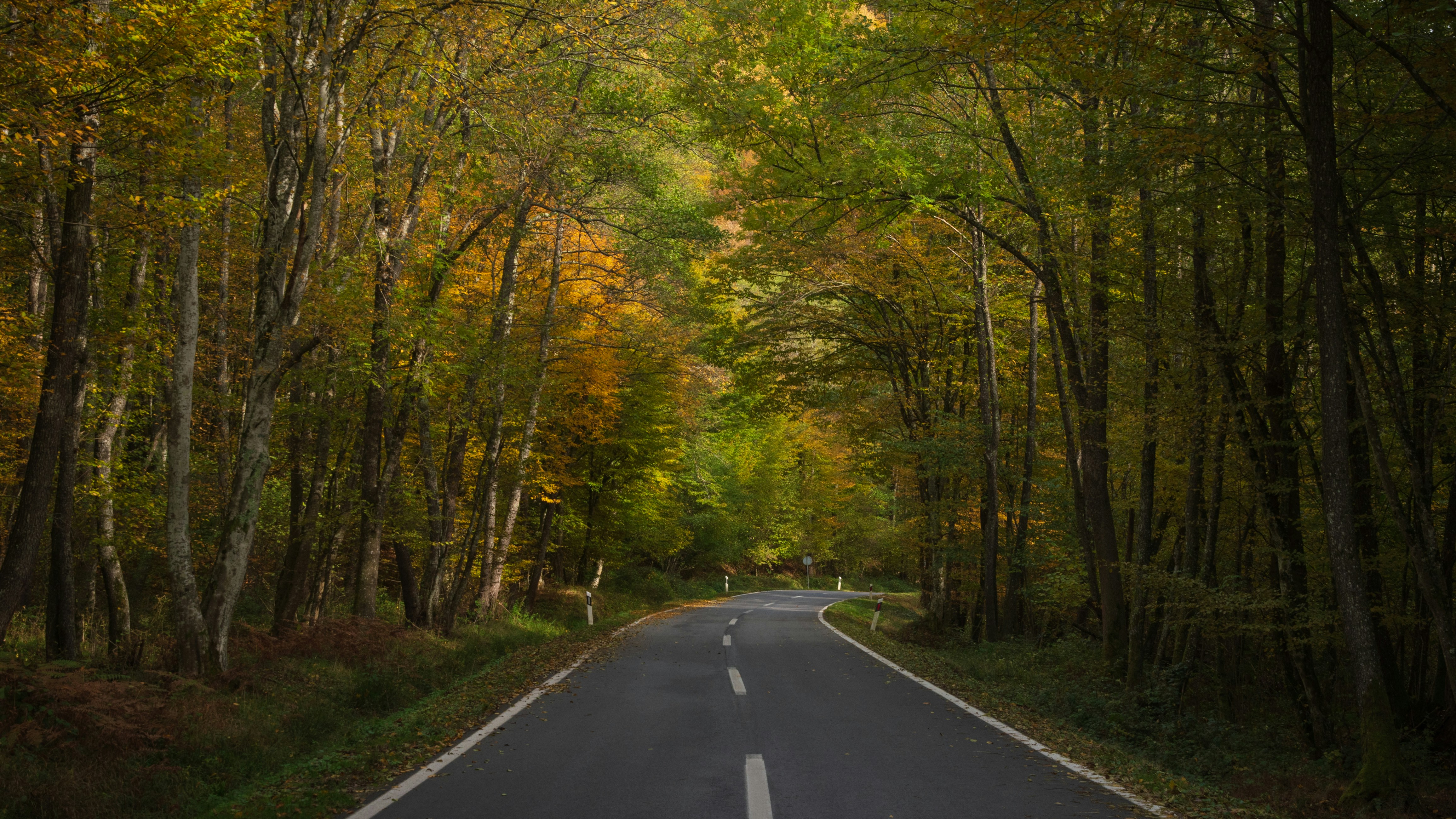 Photo by vjeblackbirdlion