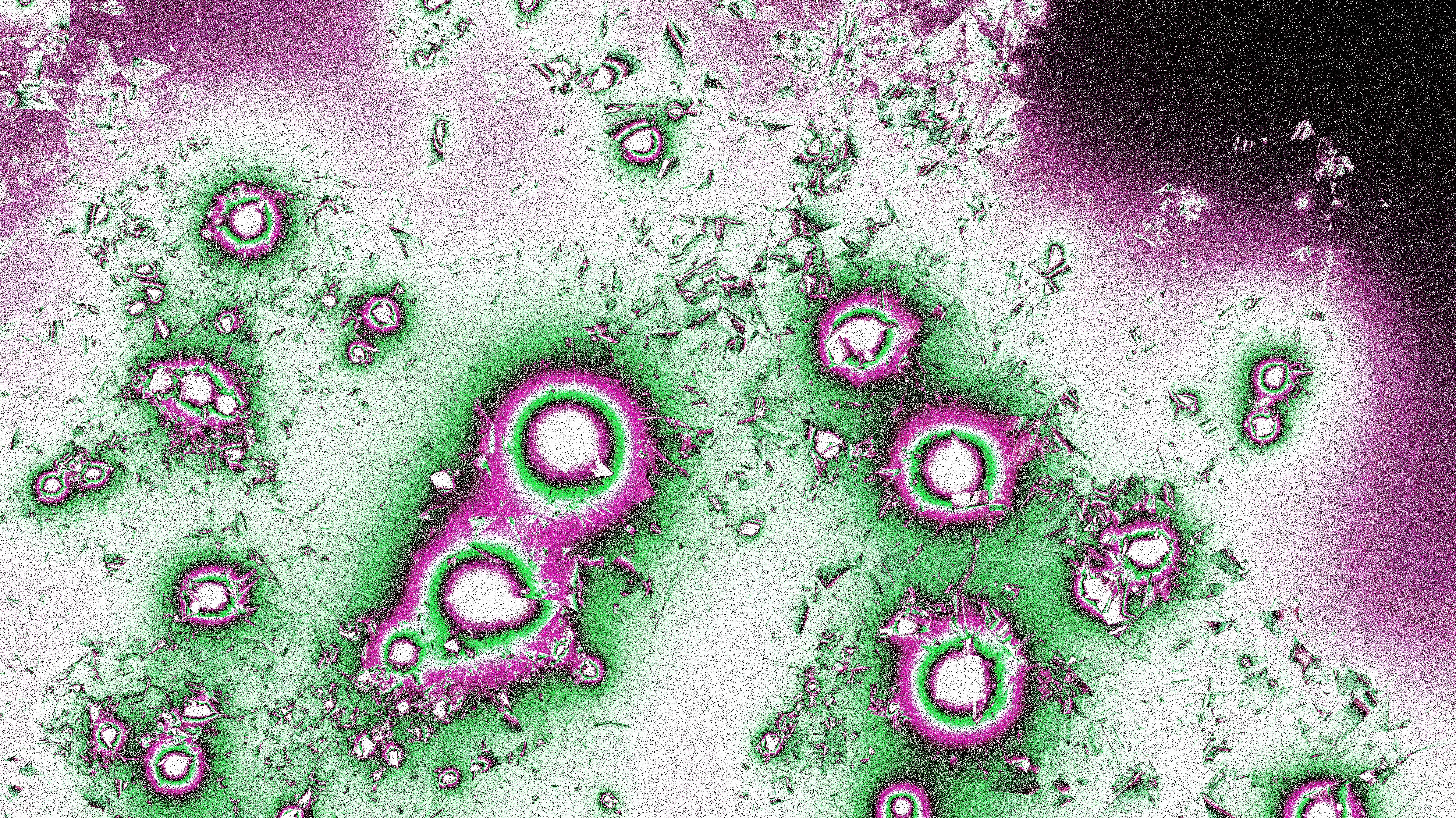 The Overlap Between Mold Illness and Oxalate Sensitivity: The Ultimate Guide