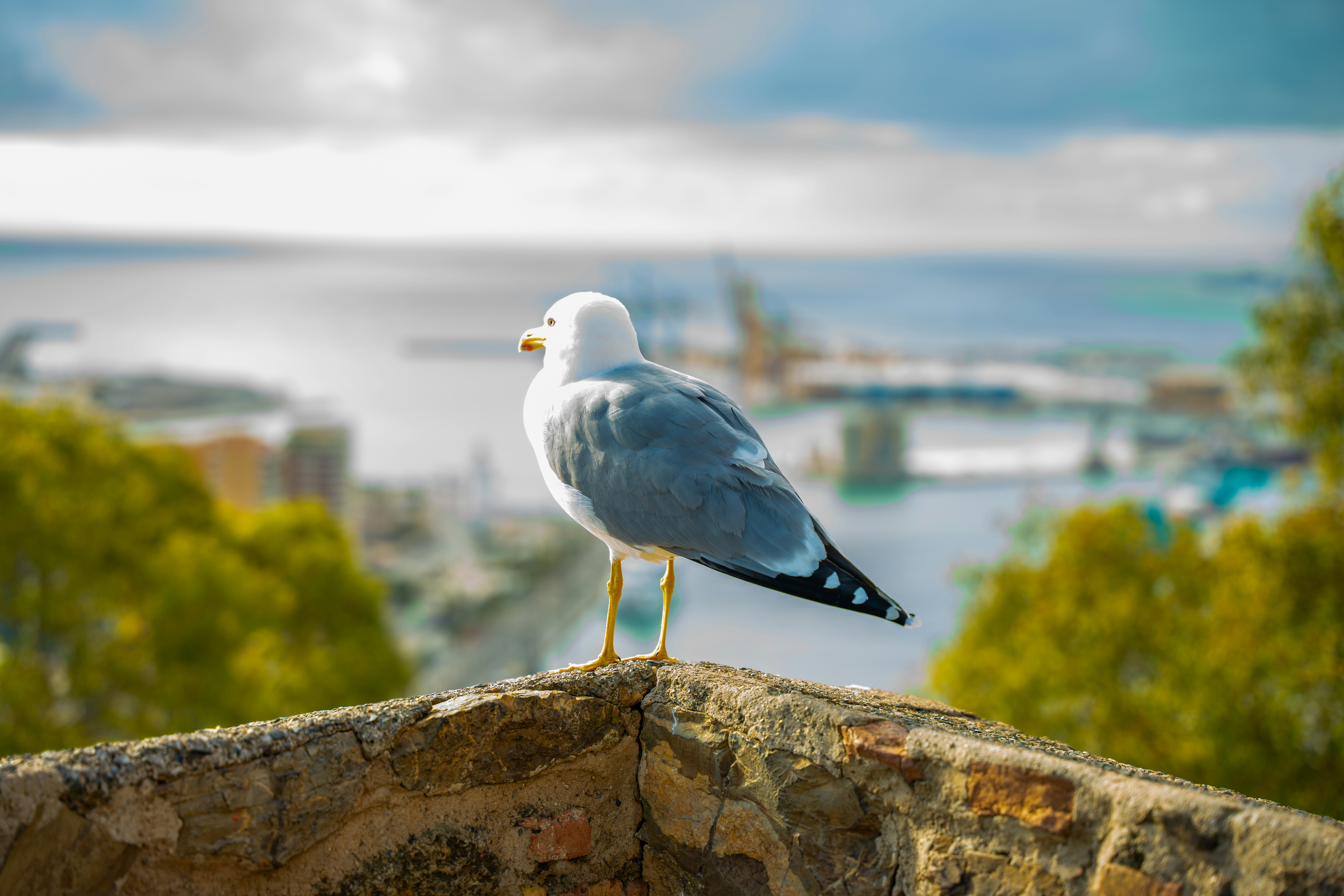 Photo by flywrk