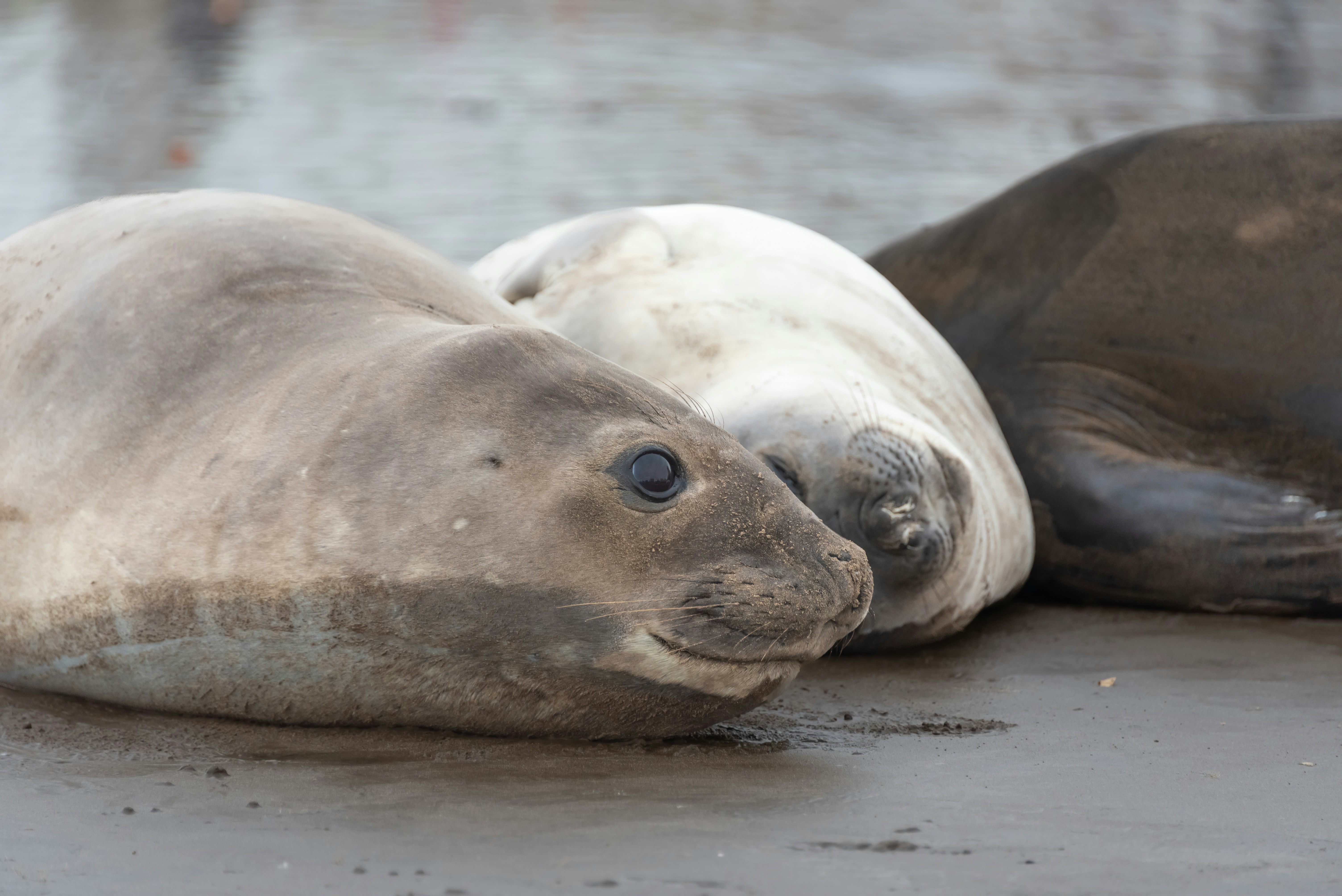 Photo by translytranslations