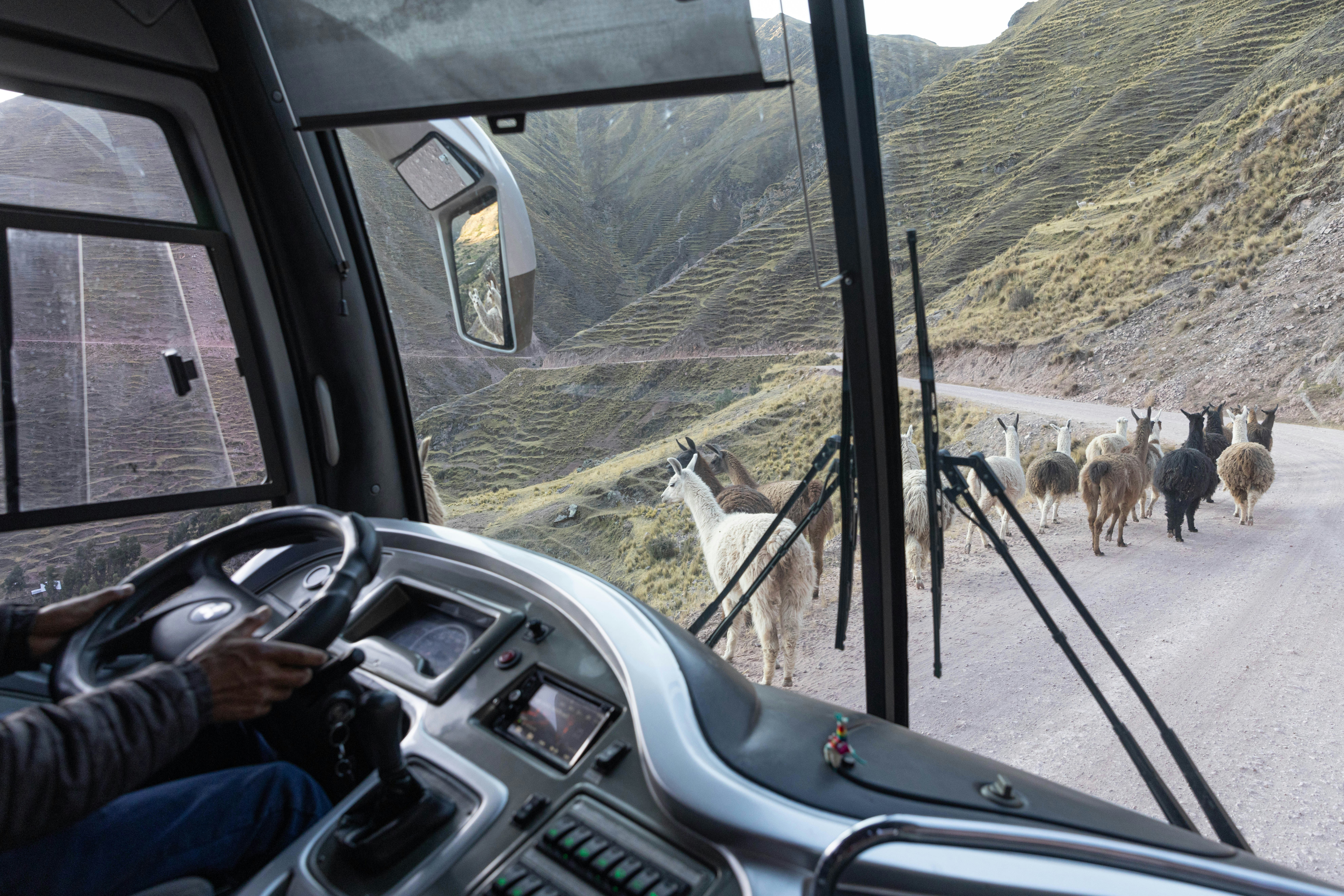 A man driving a bus down a dirt road