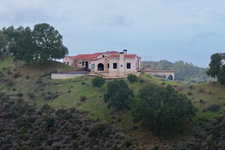 A house sitting on top of a lush green hillside