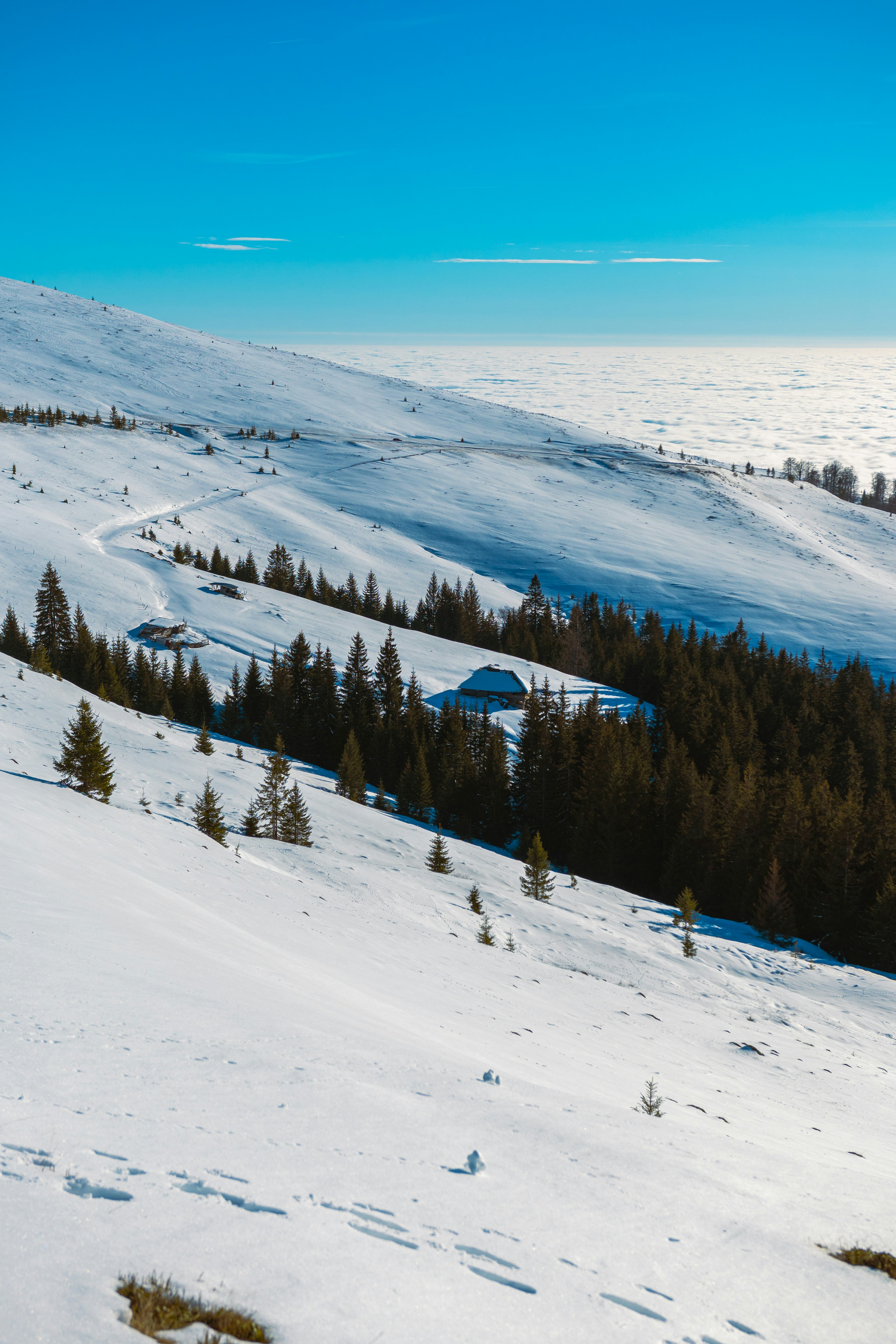A man riding skis down a snow covered slope